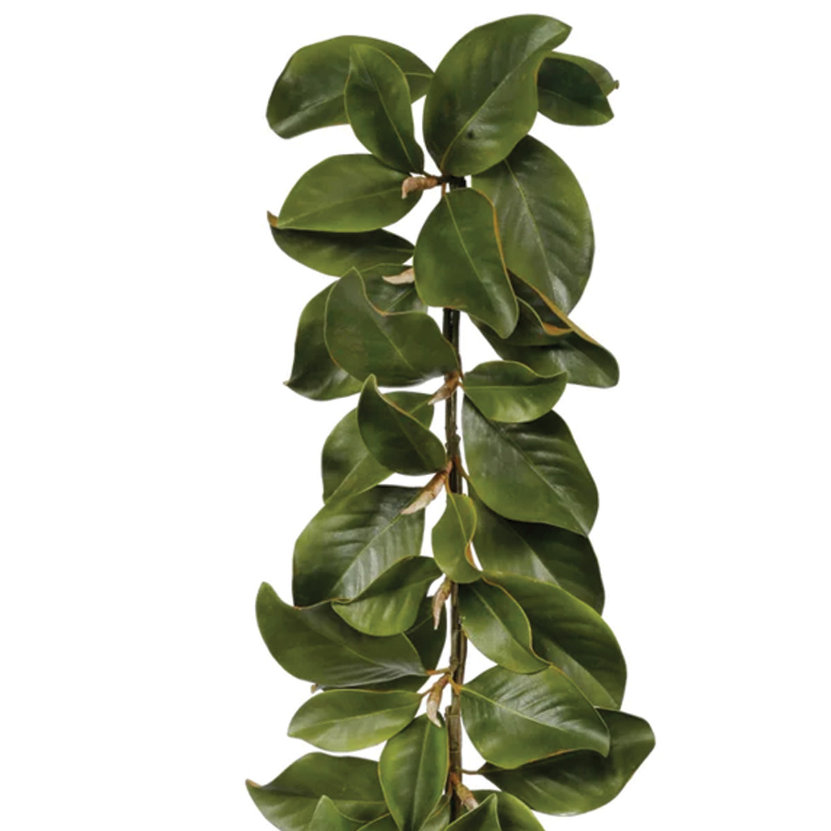 Green Magnolia Leaf Garland 5'
