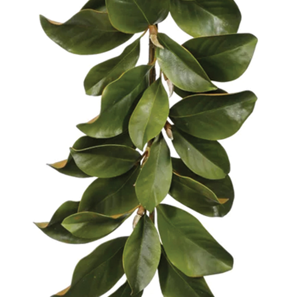 Green Magnolia Leaf Garland 5'