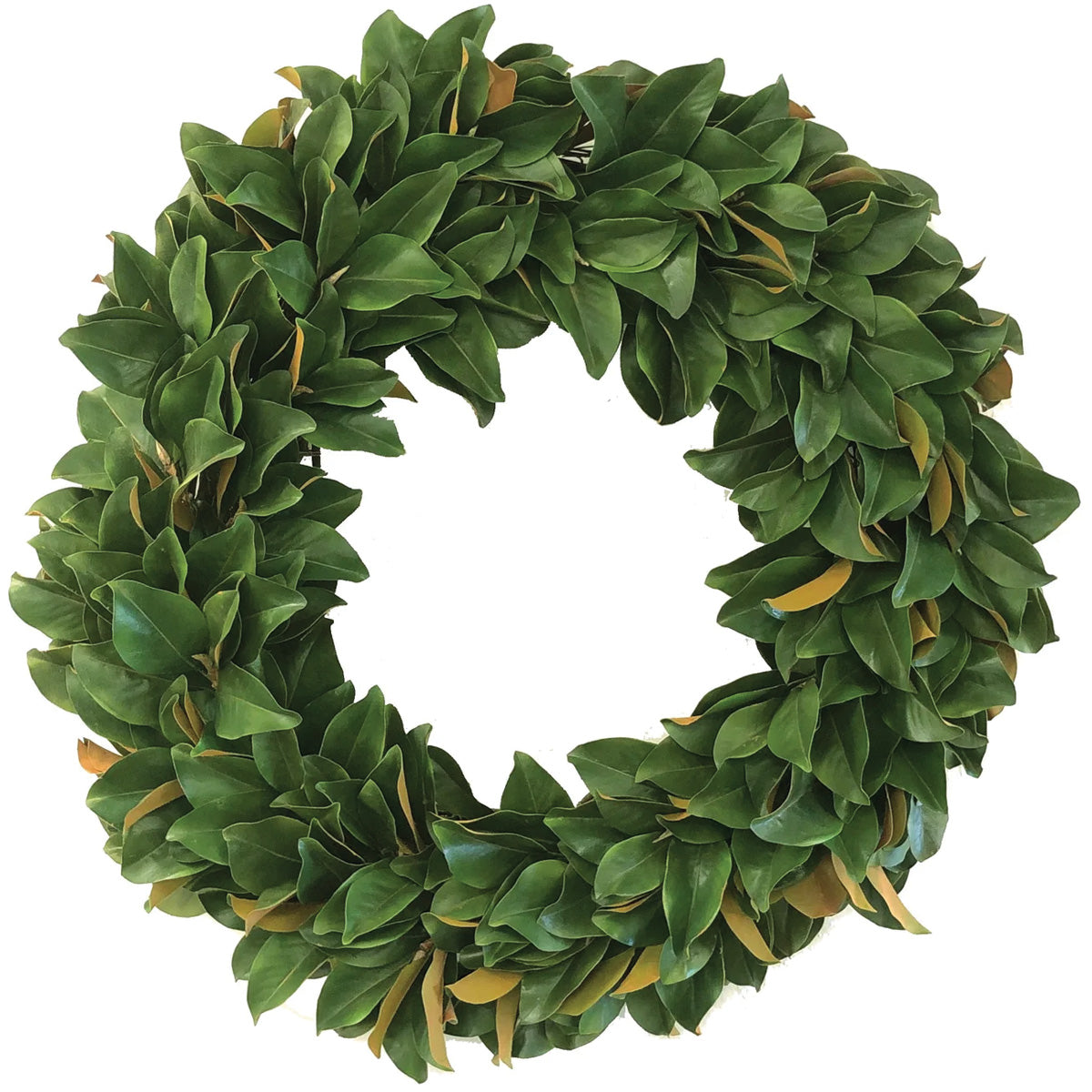 Magnolia Leaf Wreath 36"