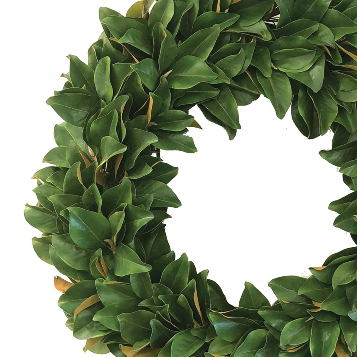 Magnolia Leaf Wreath 36"