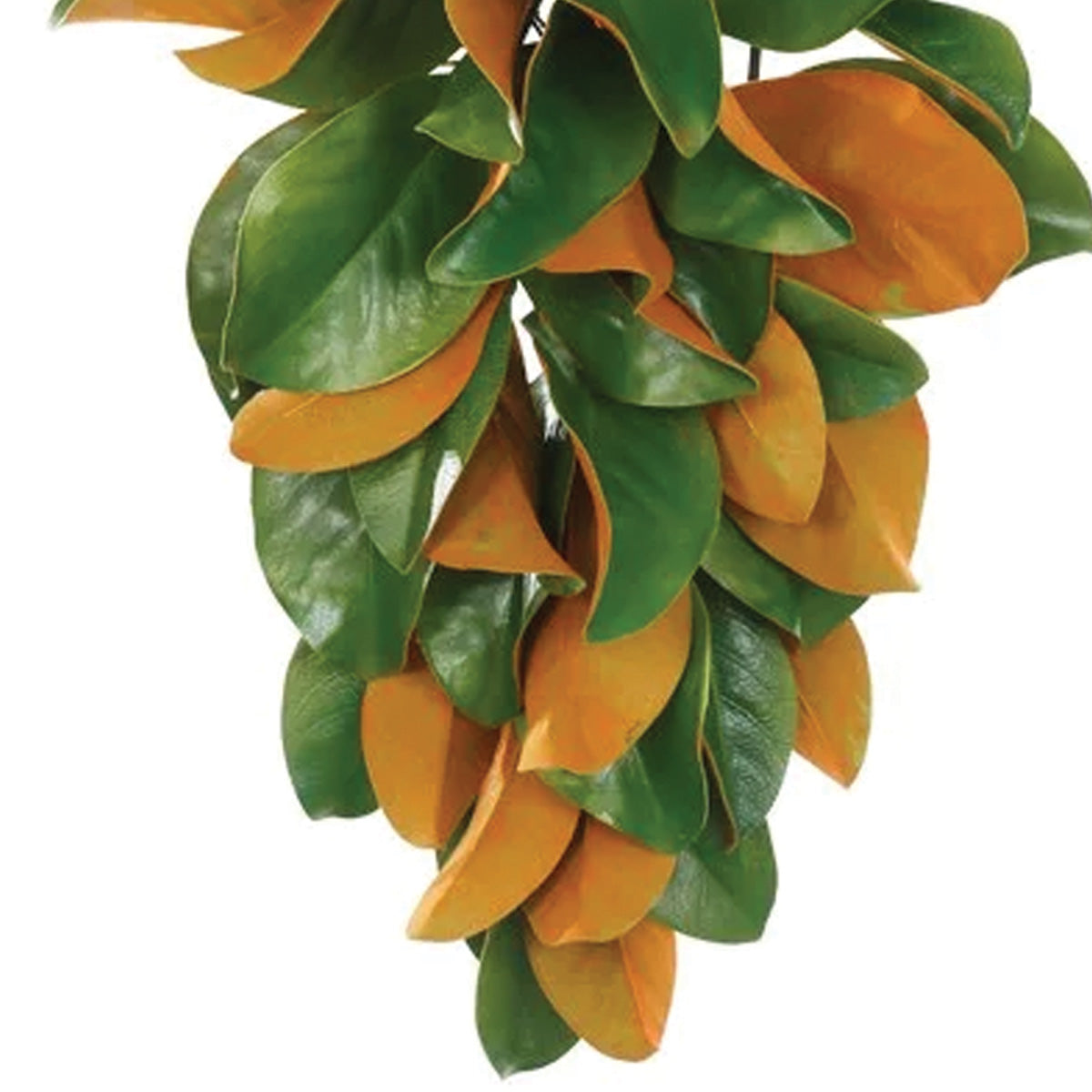 Magnolia Leaf Teardrop