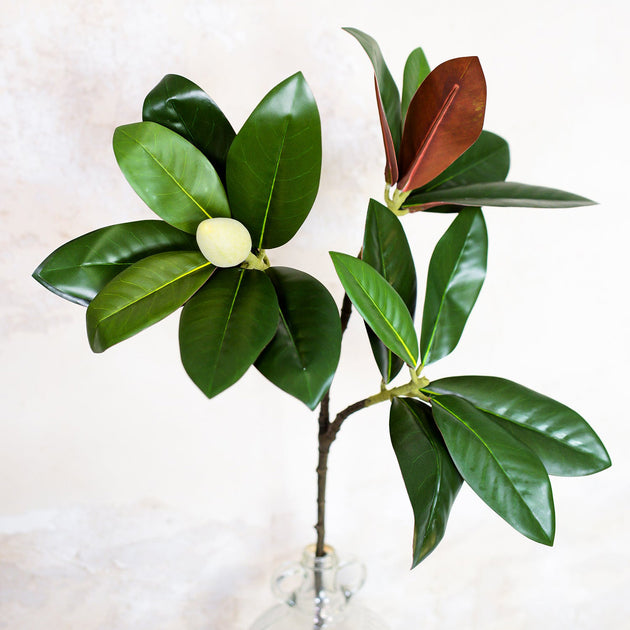 Cardboard LED Candy Lane House