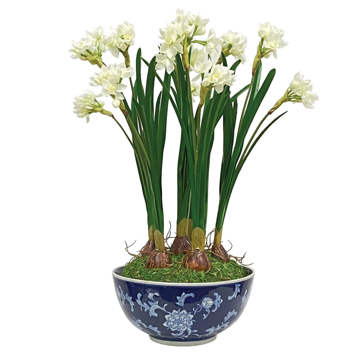 Narcissus in Longlife Bowl