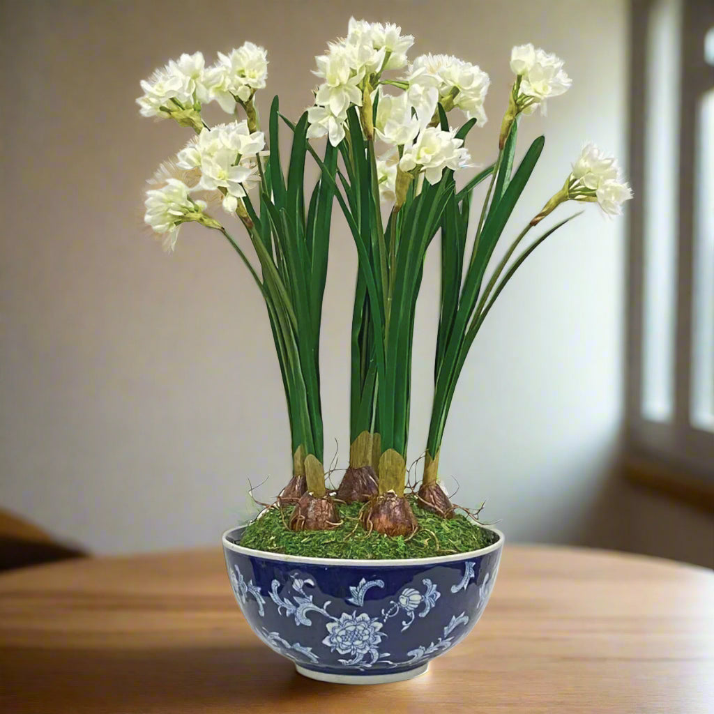 Narcissus in Longlife Bowl
