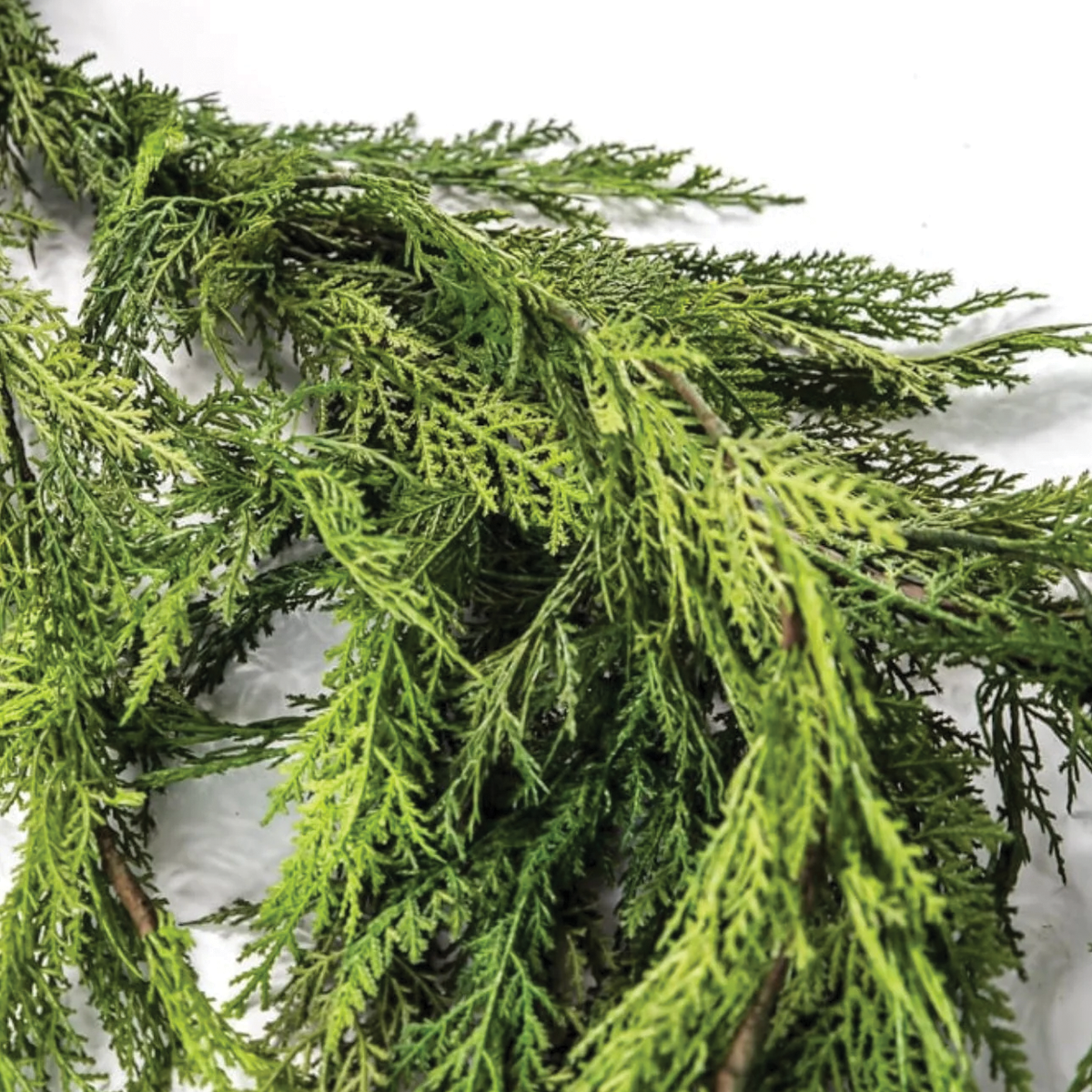 Natural Touch Cedar Dripping Garland