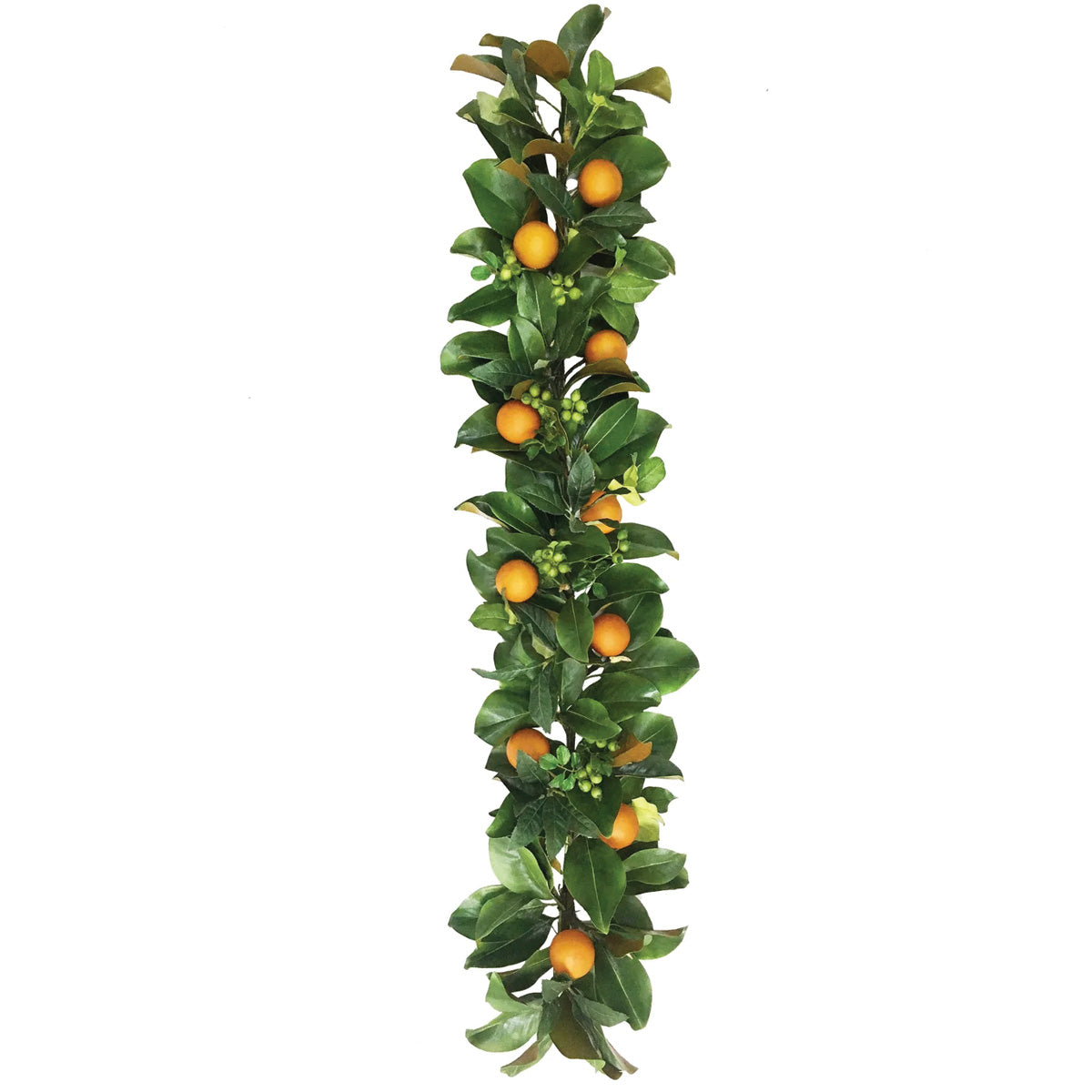 Orange and Magnolia Garland 5'