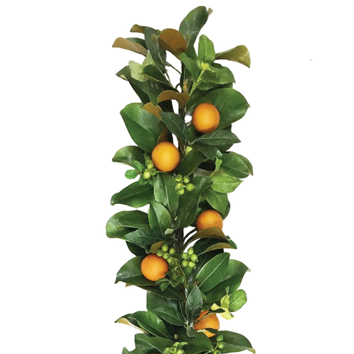 Orange and Magnolia Garland 5'