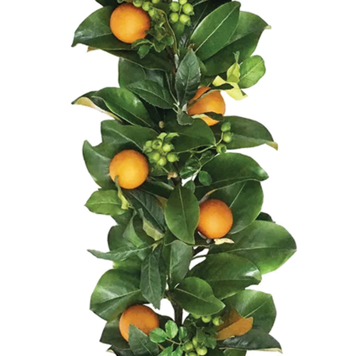 Orange and Magnolia Garland 5'
