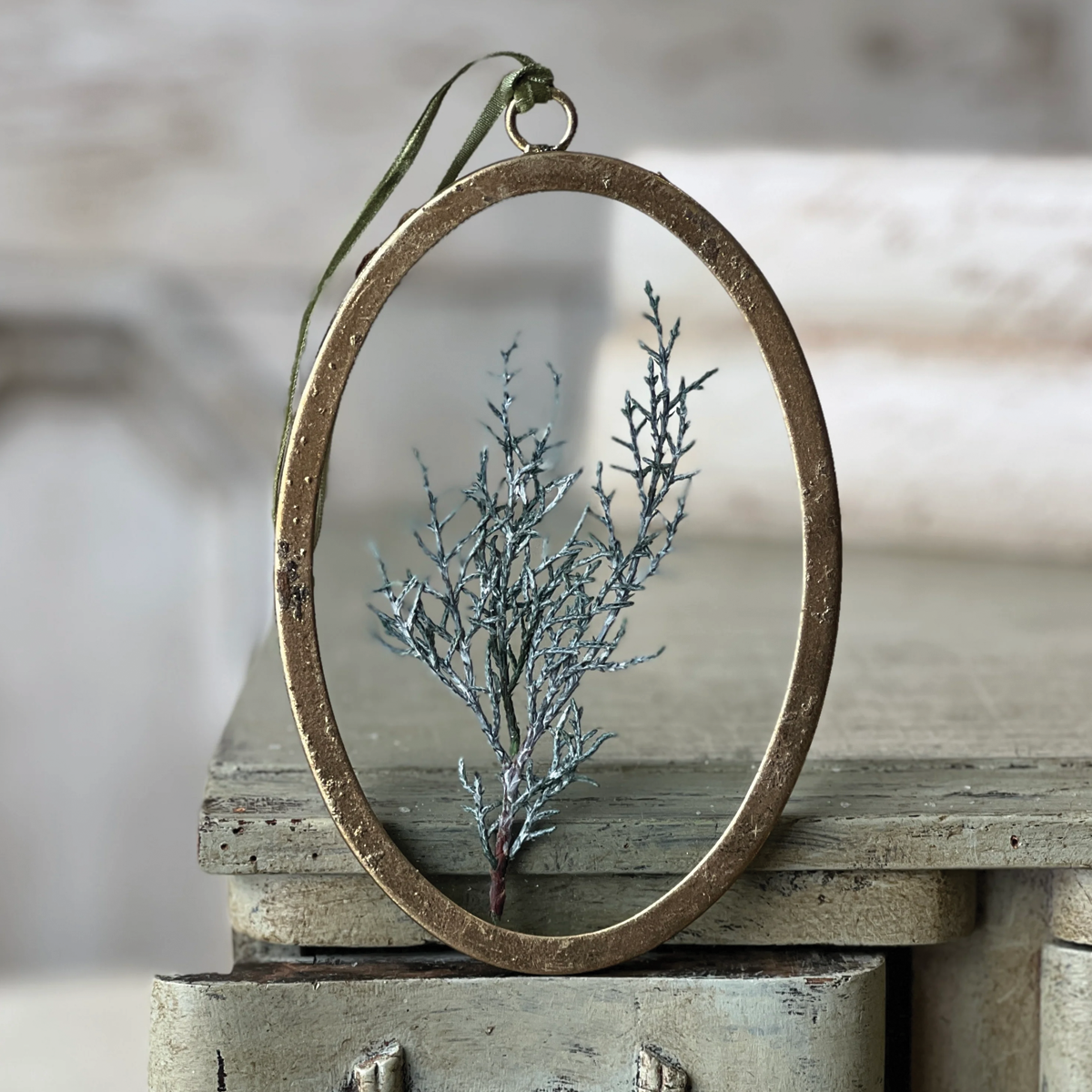 Petite Pressed  Pine Oval Ornament