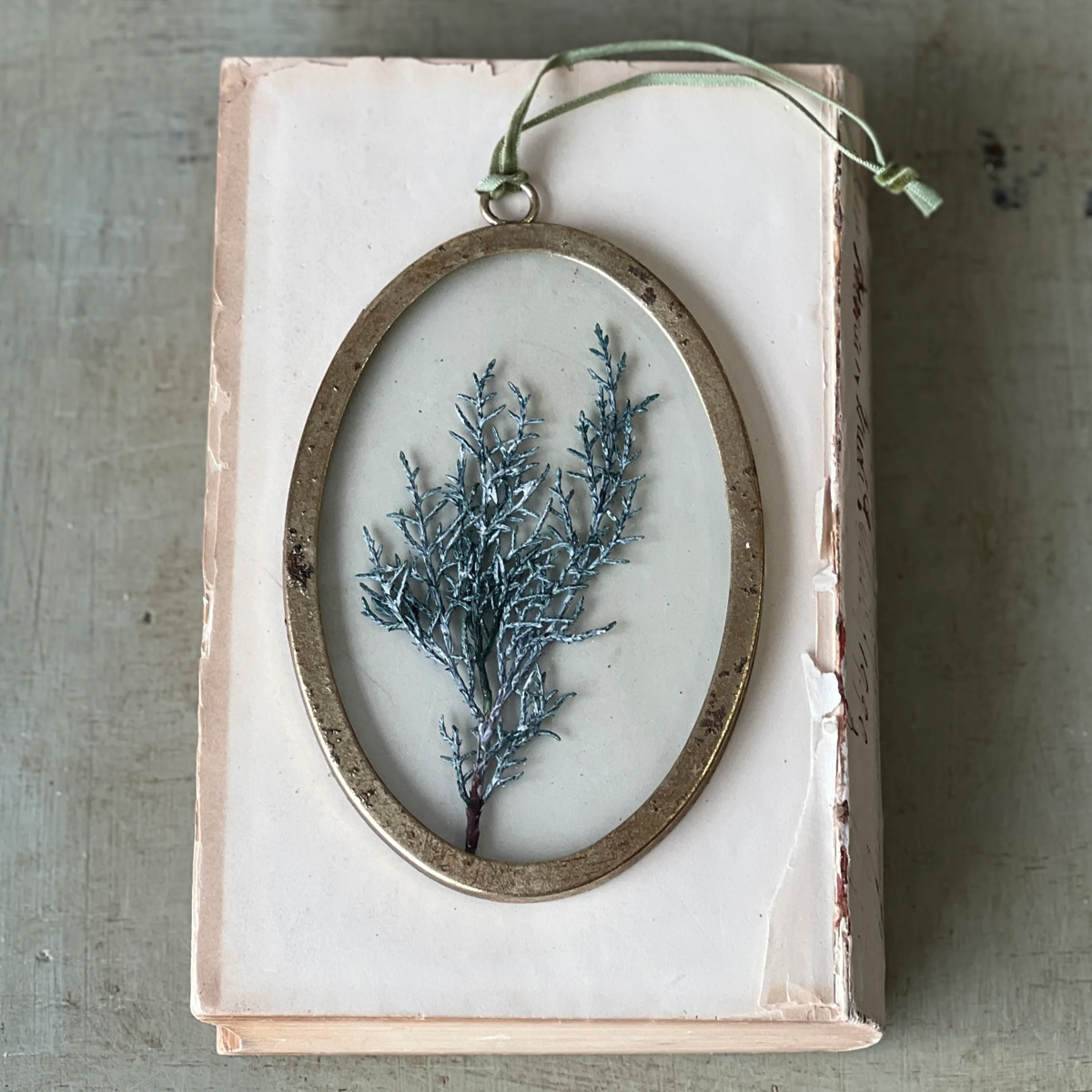 Petite Pressed  Pine Oval Ornament