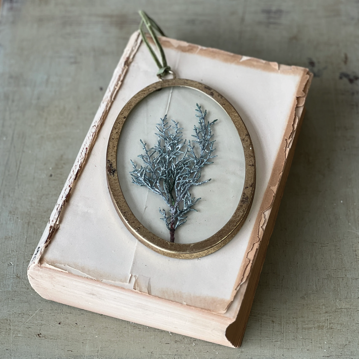 Petite Pressed  Pine Oval Ornament