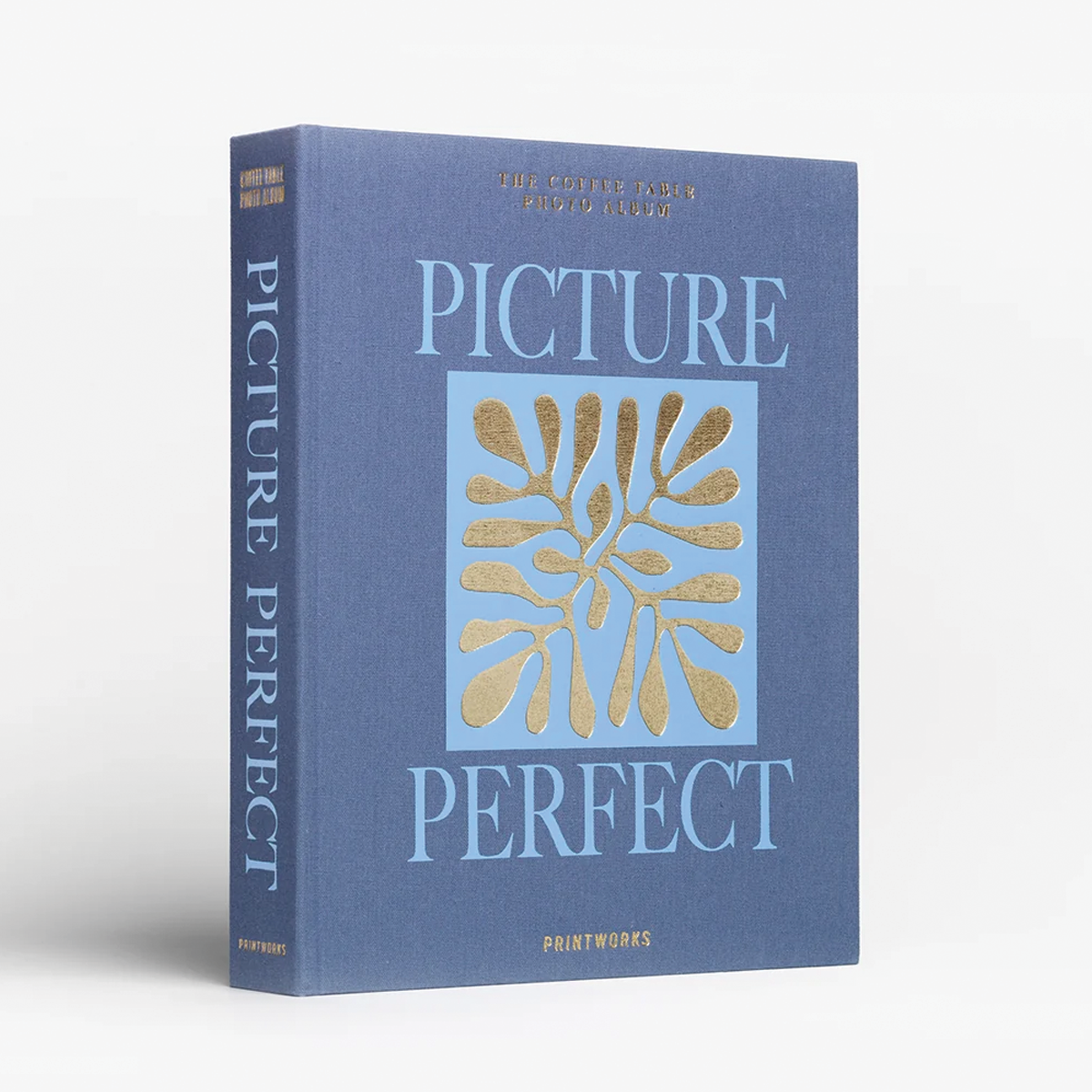 "Picture Perfect" Photo Album