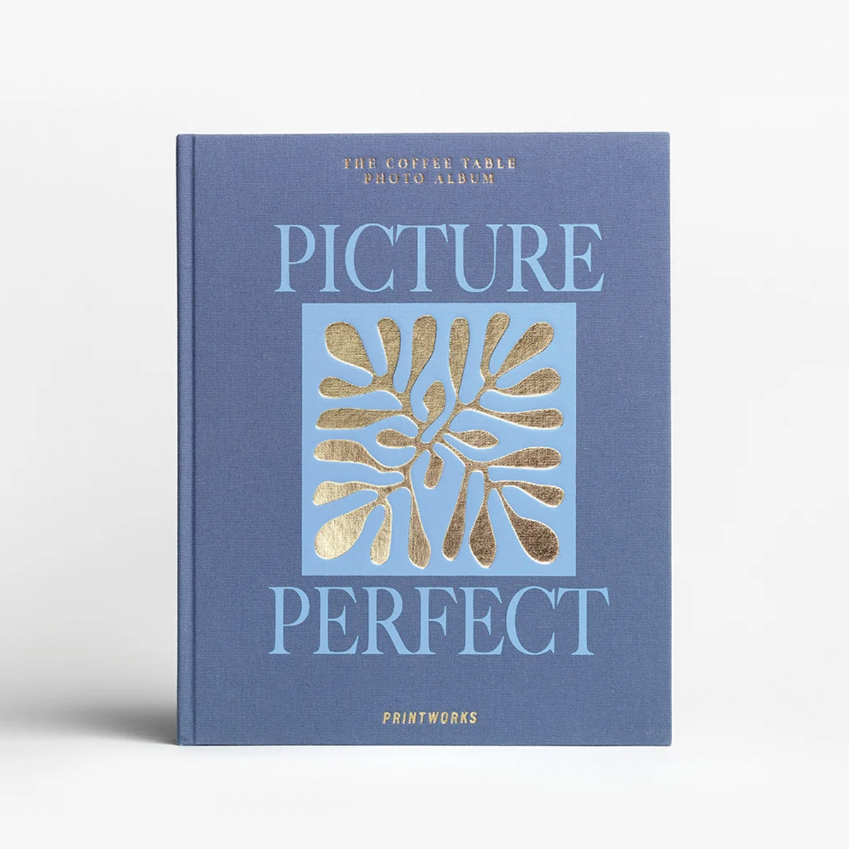 "Picture Perfect" Photo Album