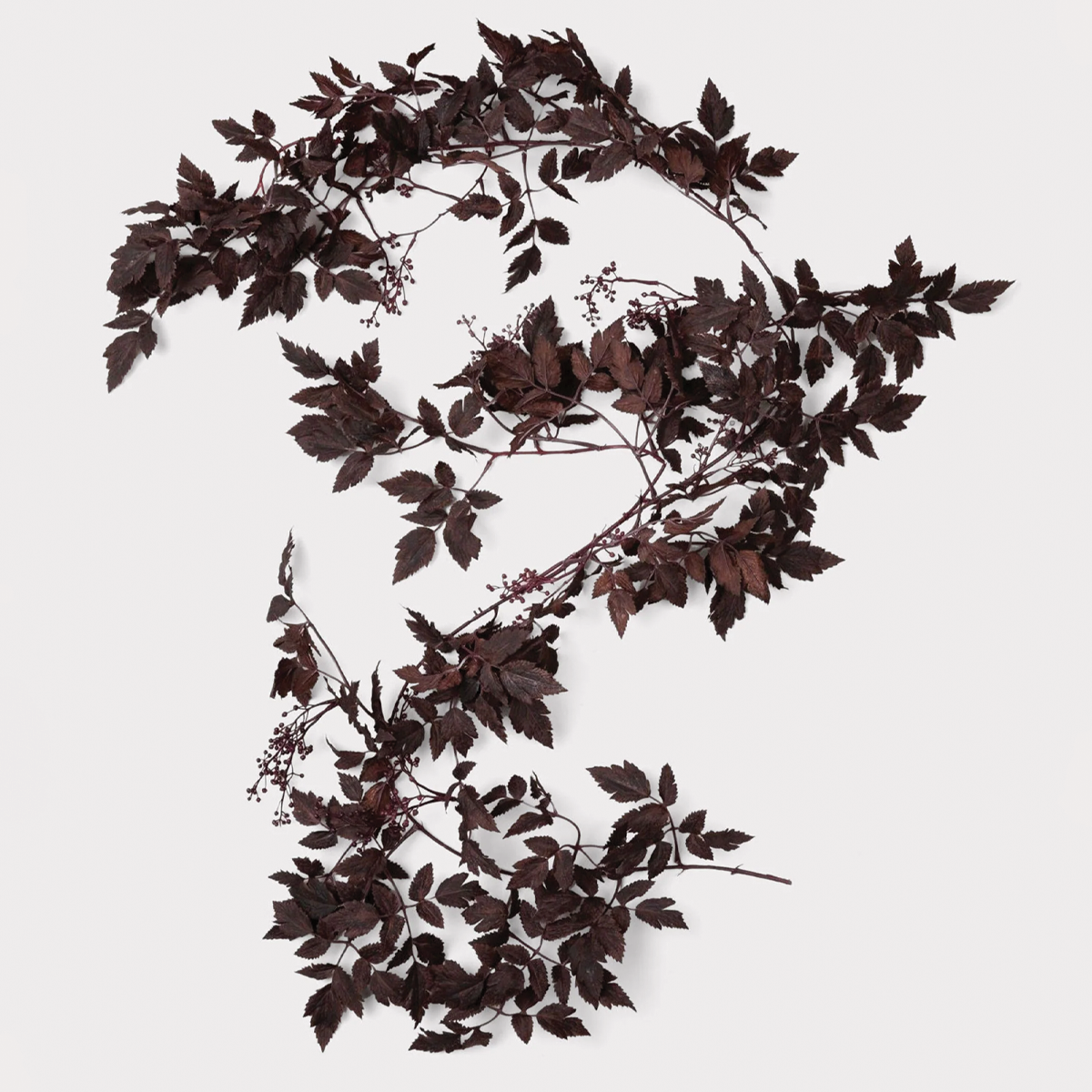 Autumn Wine Ruscus with Berry Garland