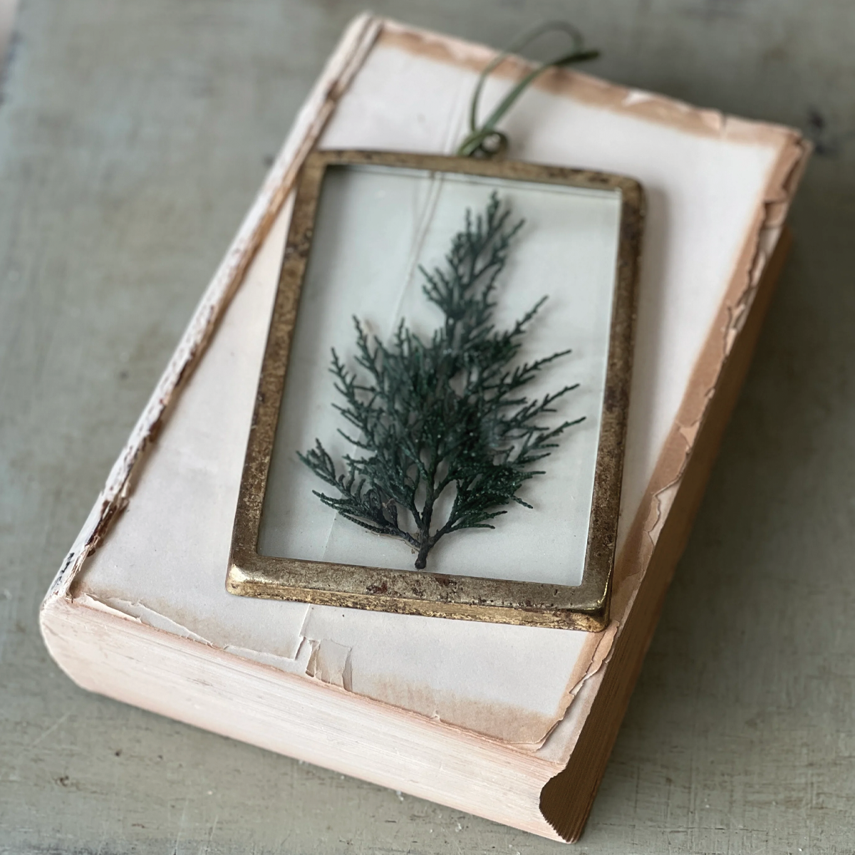Petite Pressed Rectangle Pine Ornament