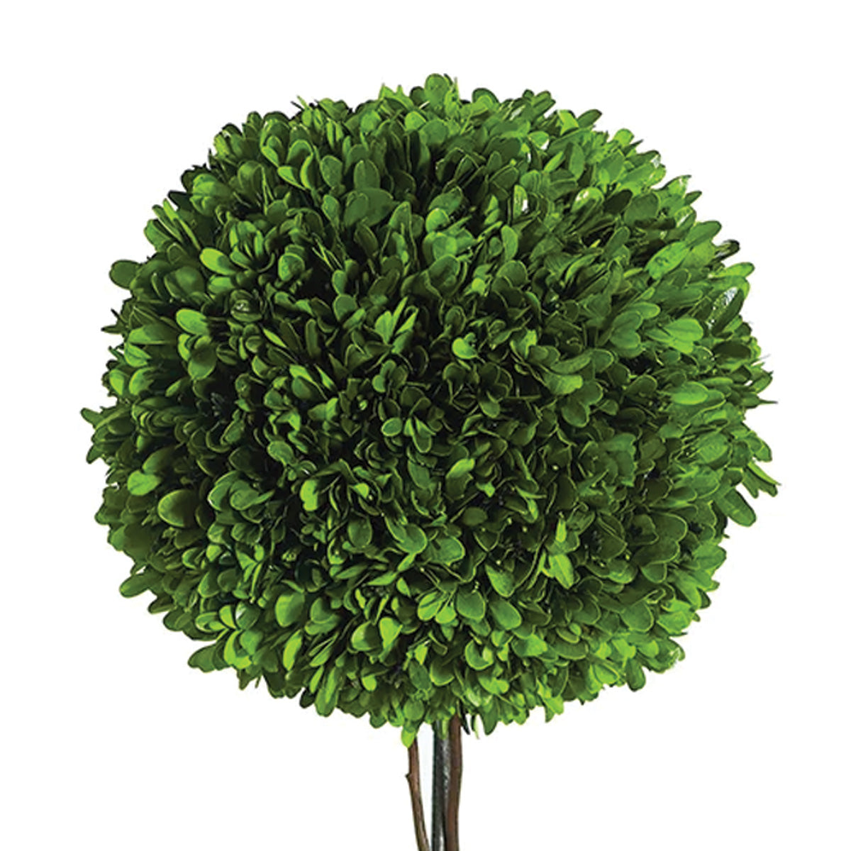 Single Boxwood Ball Topiary