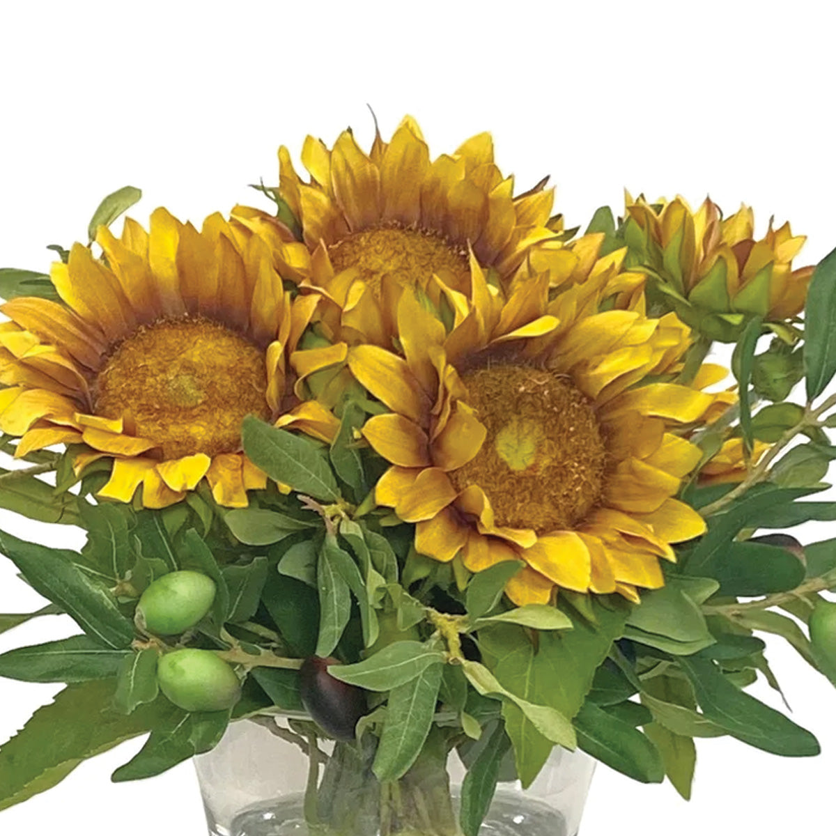 Sunflowers and Olives in Vase