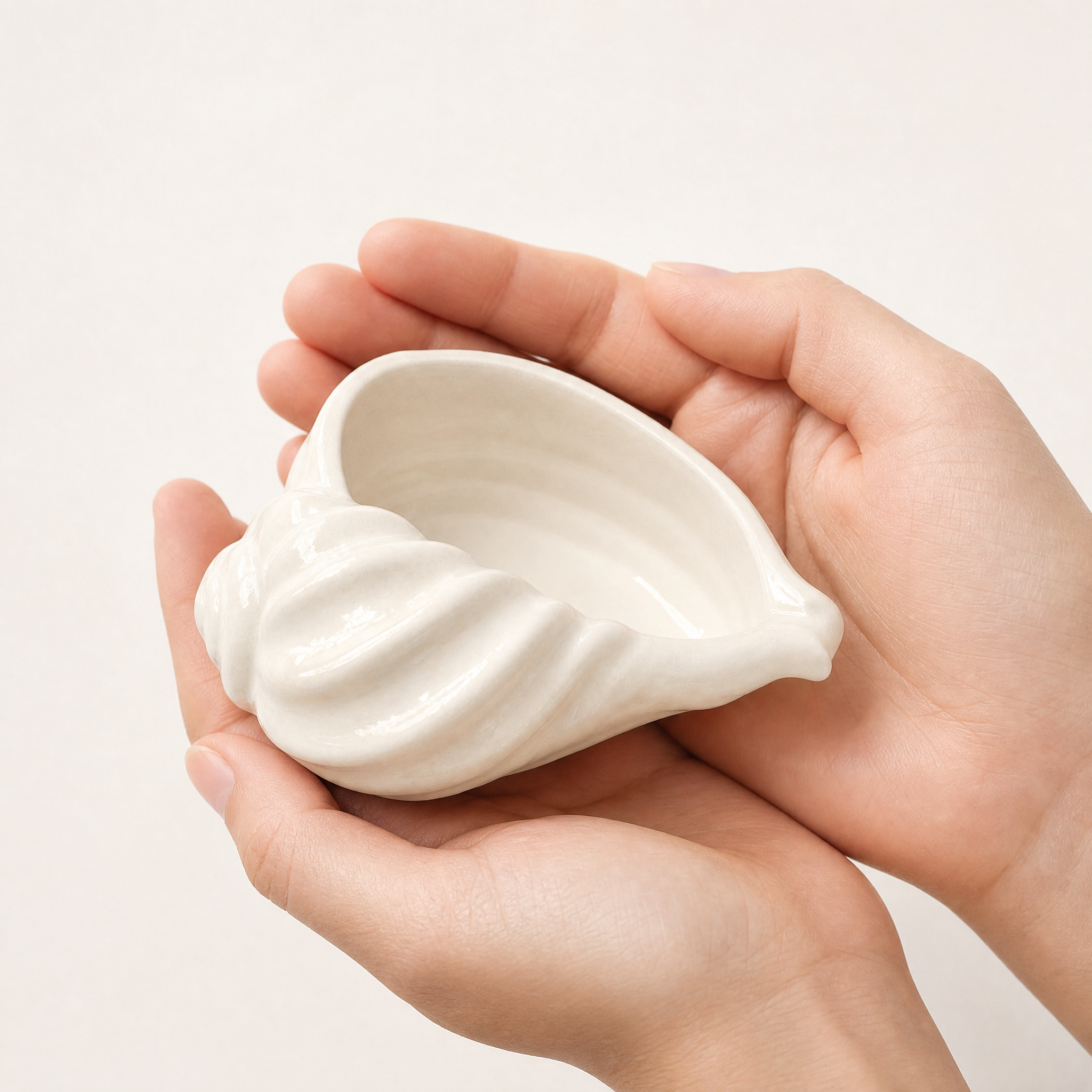 Nautilus Shell Bowl, Gypsum White 6.5"
