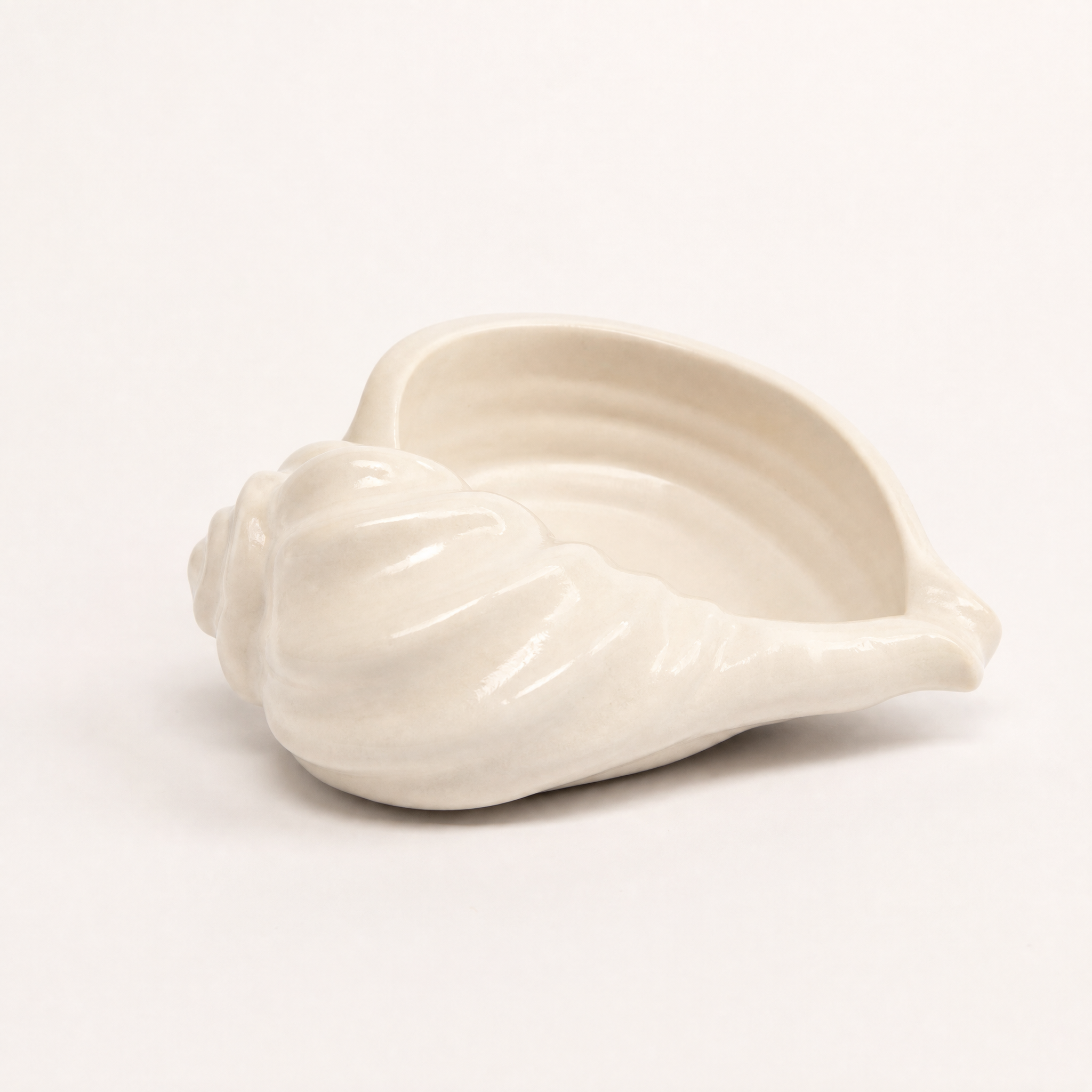 Nautilus Shell Bowl, Gypsum White 6.5"