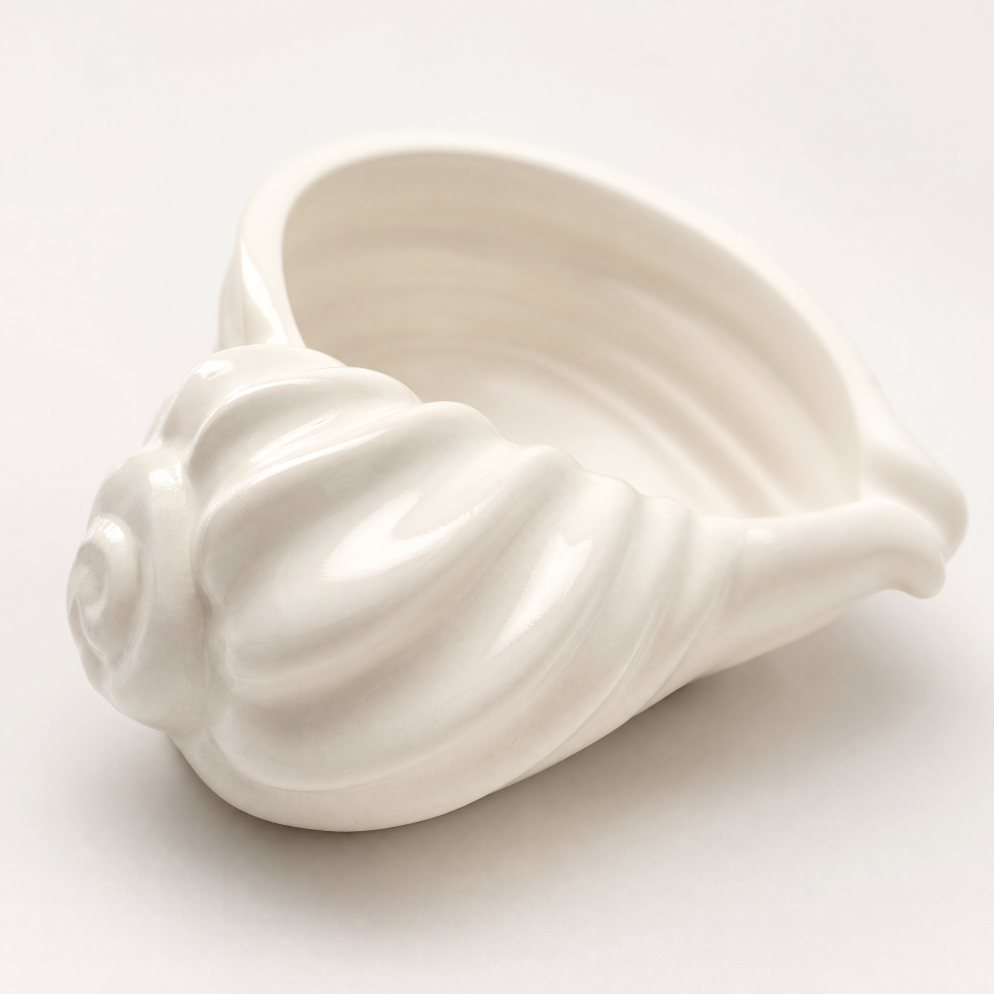 Nautilus Shell Bowl, Gypsum White 6.5"