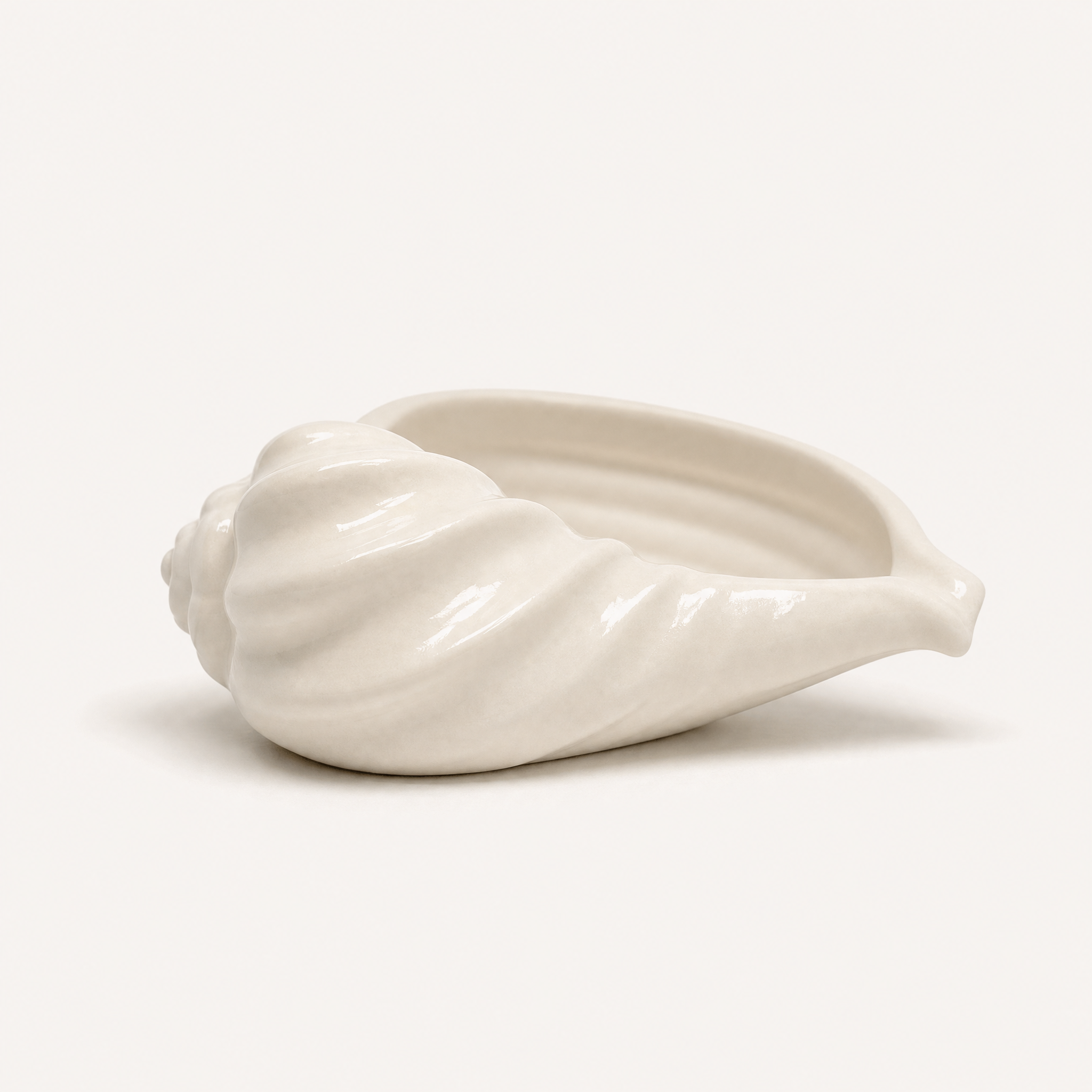 Nautilus Shell Bowl, Gypsum White 6.5"