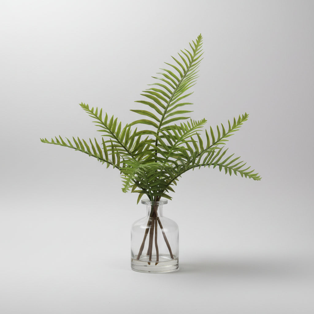 Sword Fern in Glass