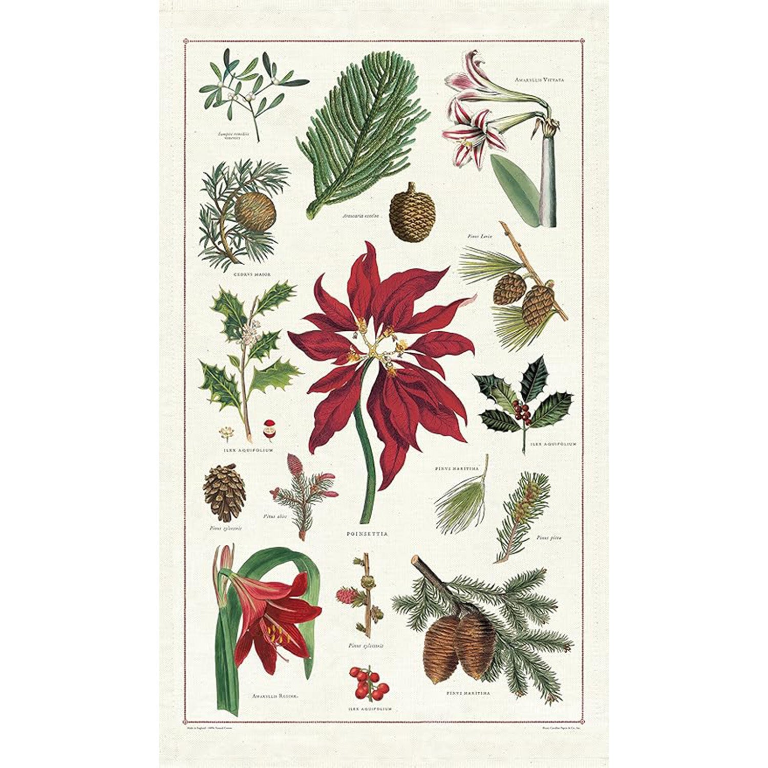 Vintage Holiday Flora and Fauna Tea Towel