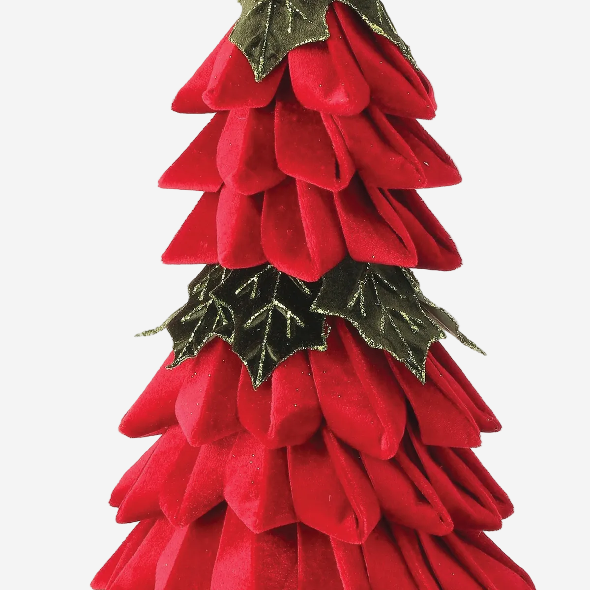Velvet Holly Leaf Cone Tree