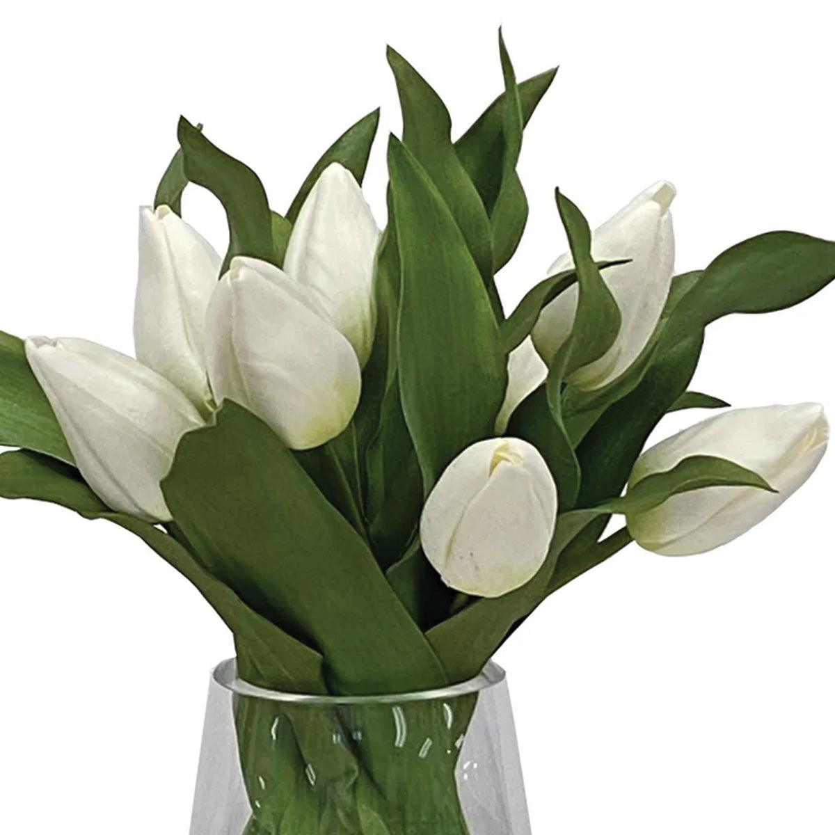 White Tulip in Vase 13"