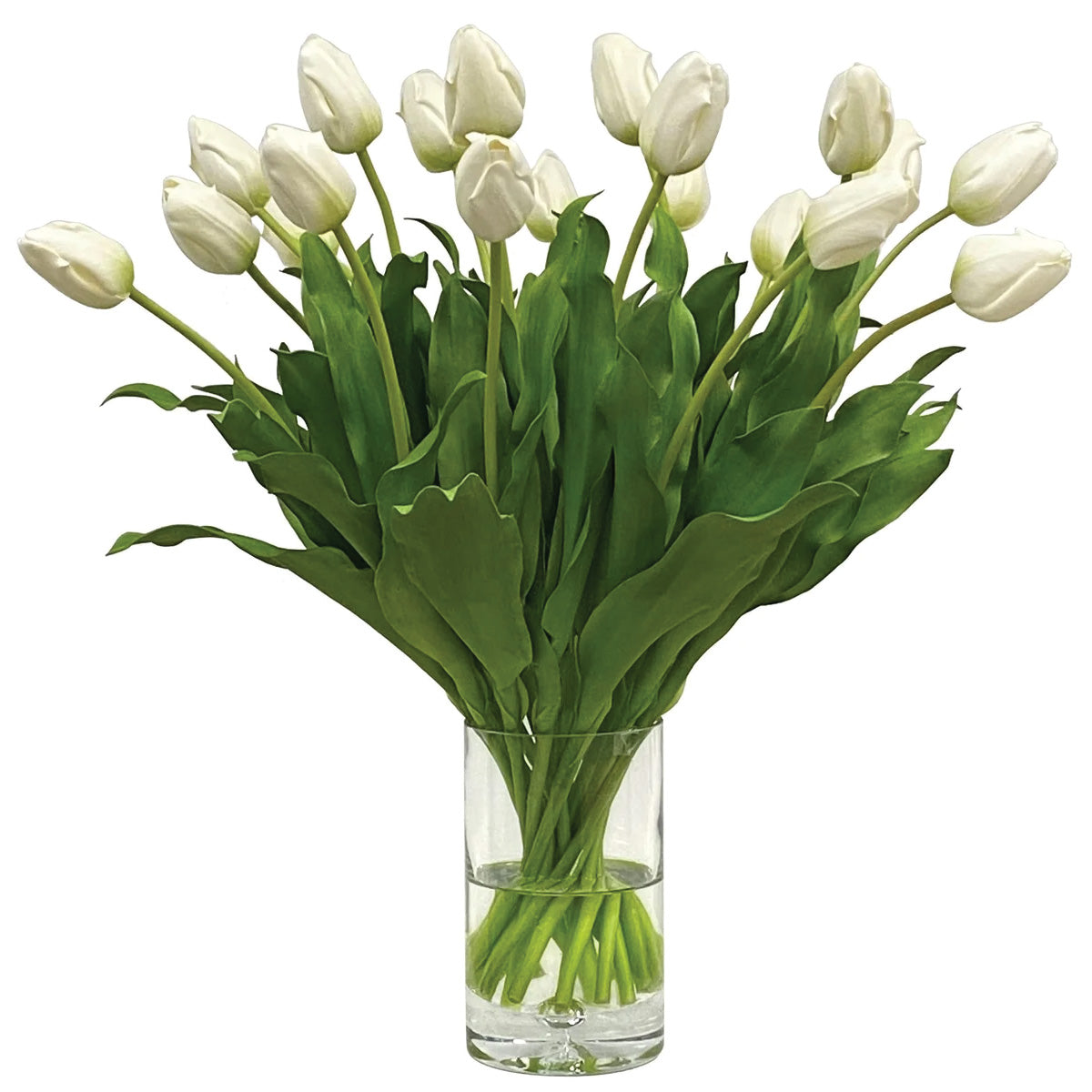 White Tulips in Vase 25"