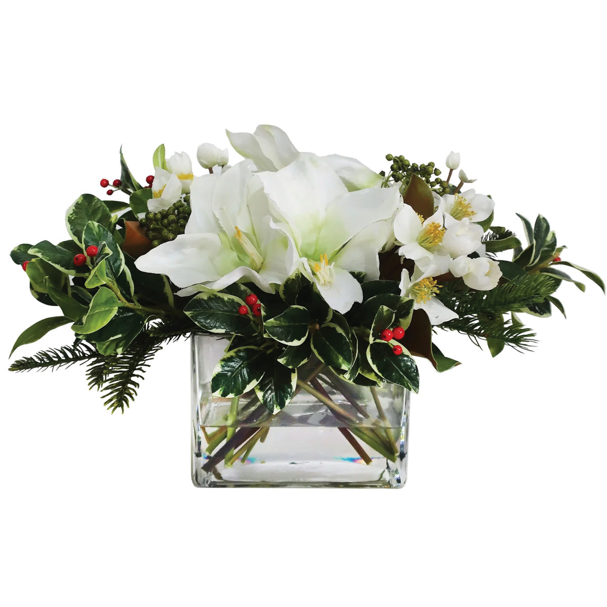 White Holiday Amaryllis and Holly in Rectangle Vase