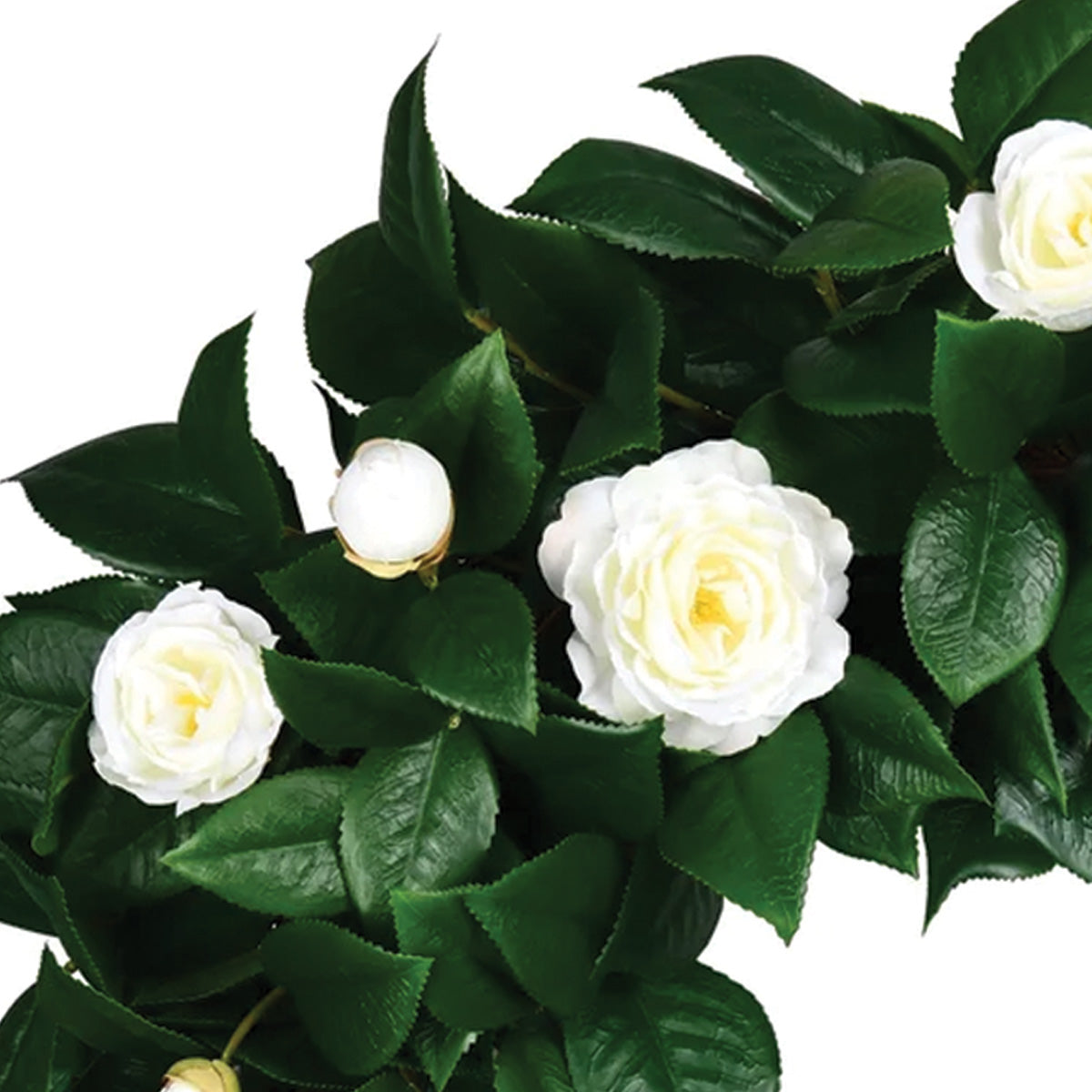 White Camellia Wreath