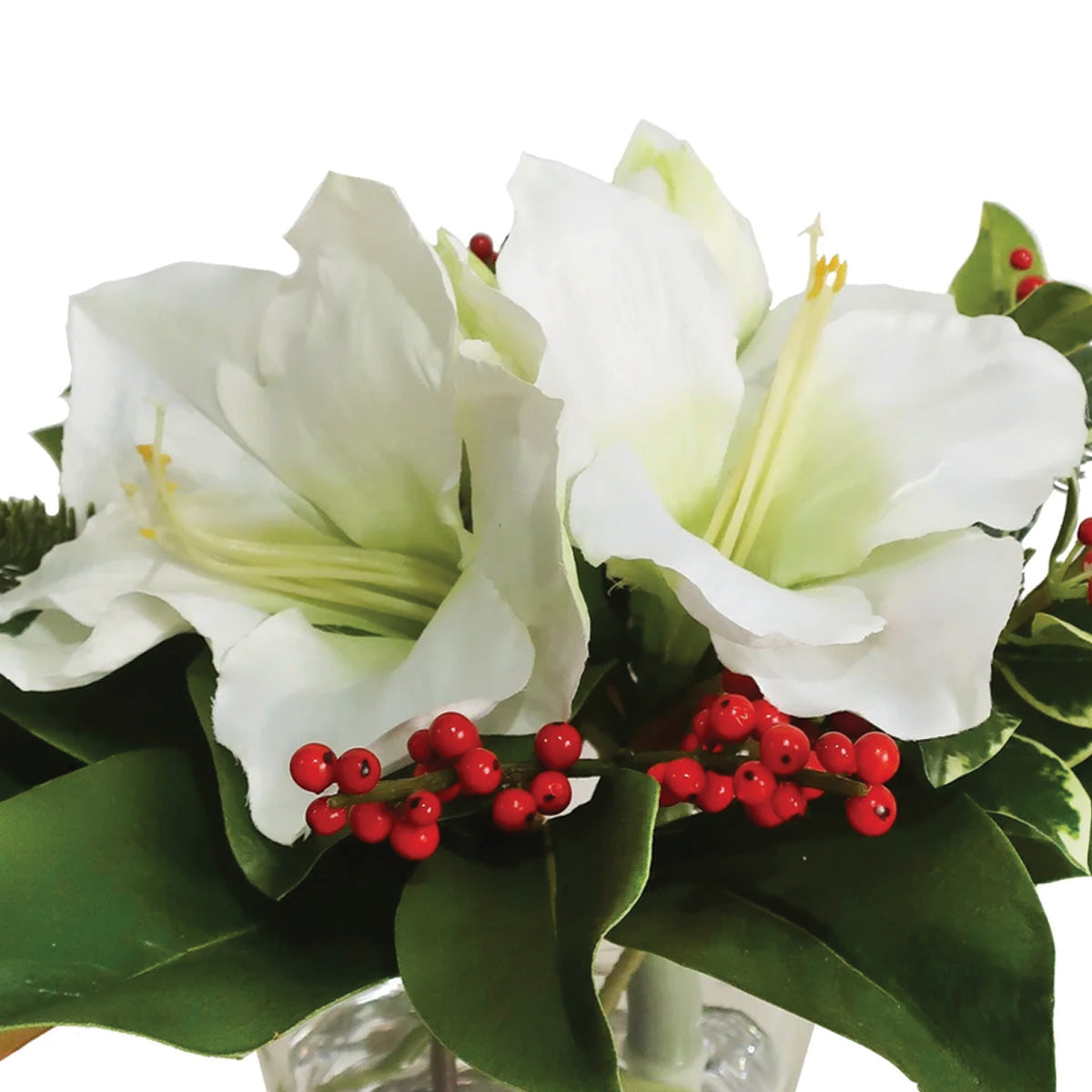 White Holiday Amaryllis and Holly in Vase Petite