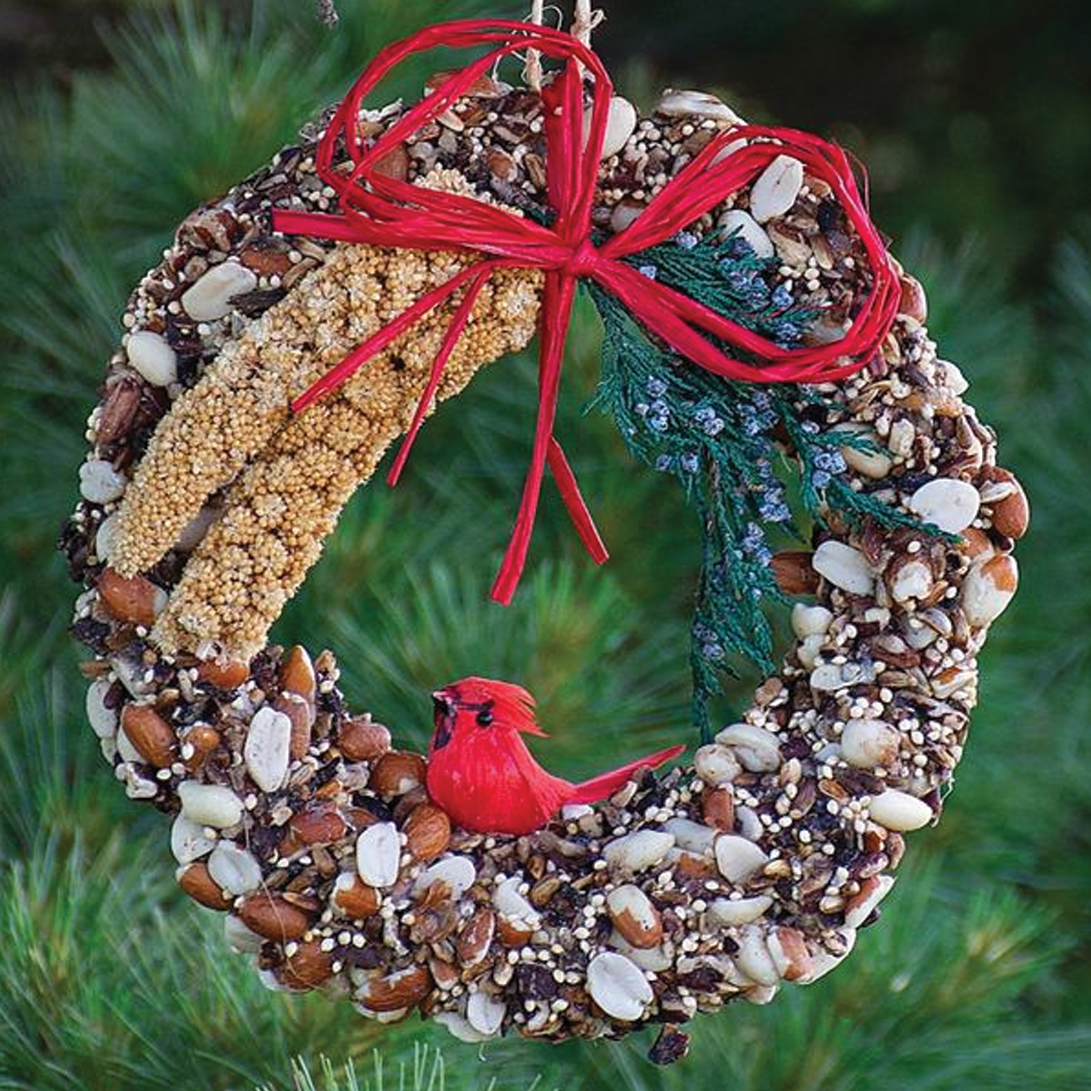 Rustic Birdseed Wreath