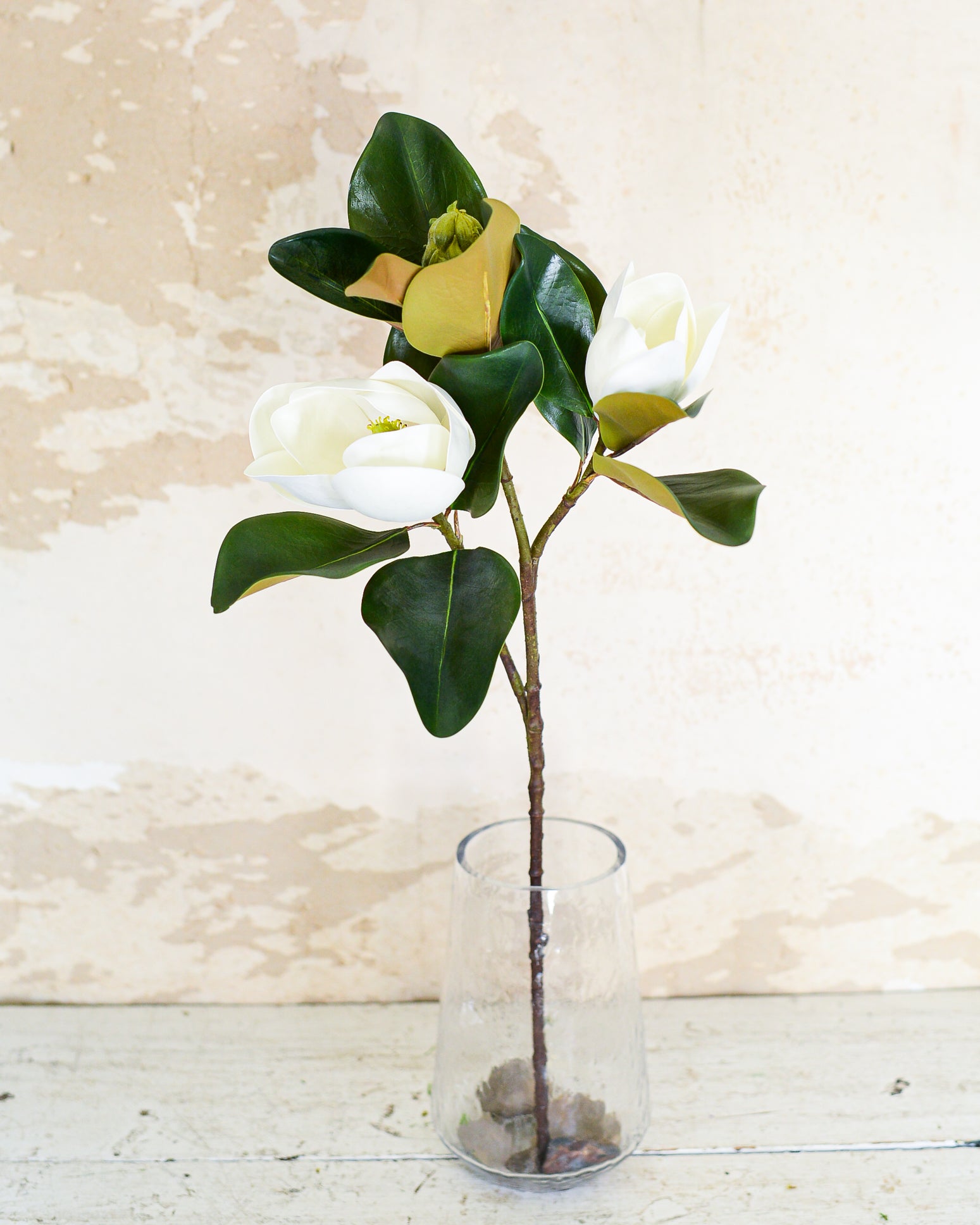 Veranda Magnolia Bud Stem