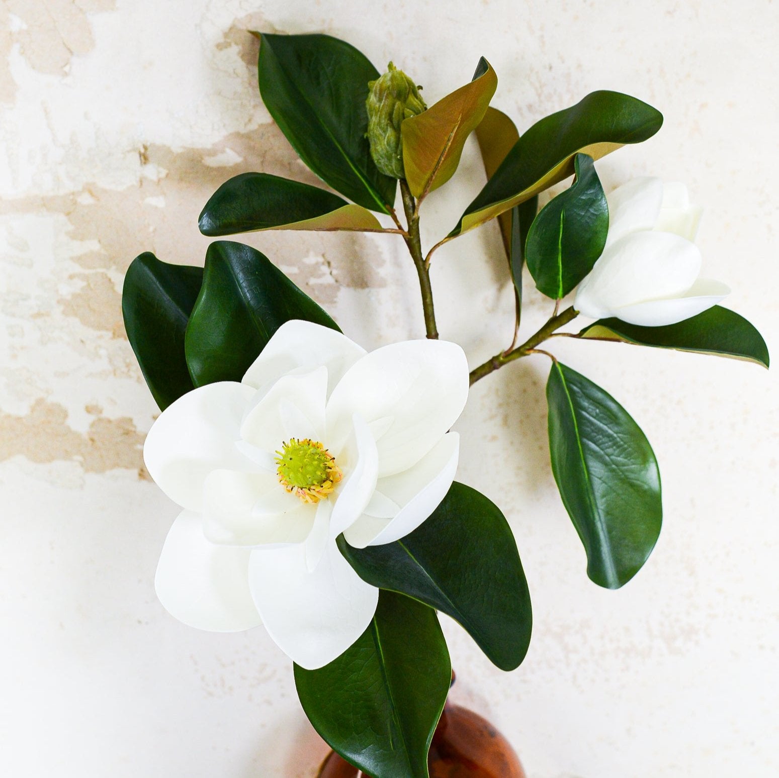 Veranda Magnolia Bud Stem