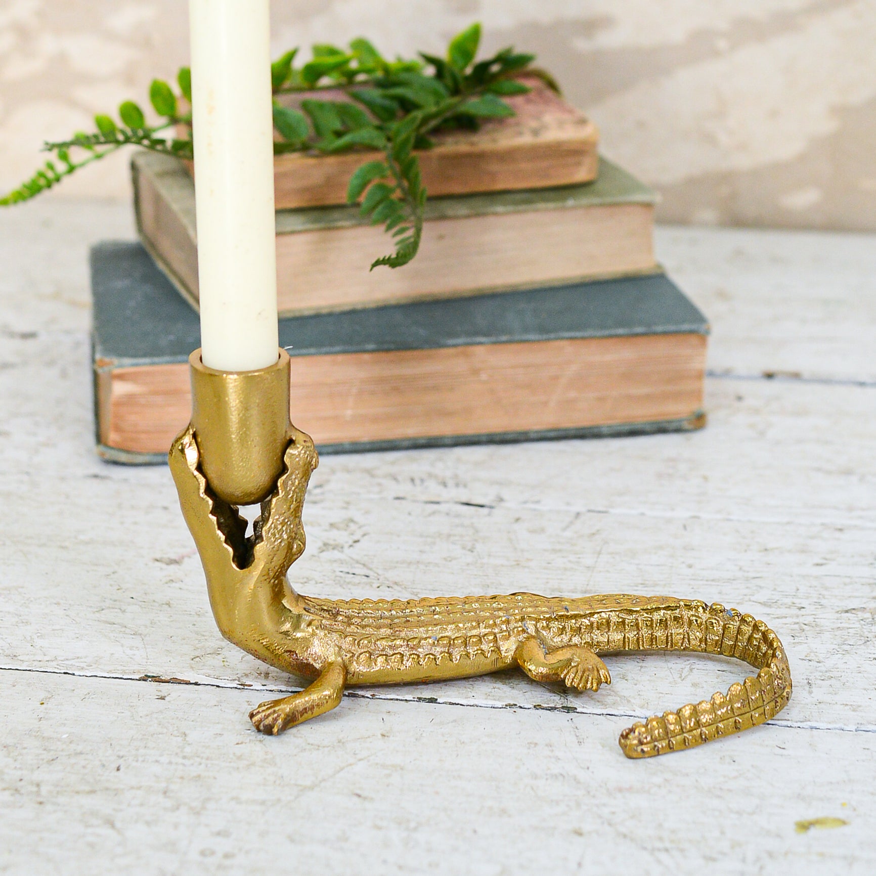 Gator Taper Candle Holder Brass Plated Metal