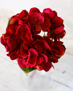 Red Hydrangea Single Stem