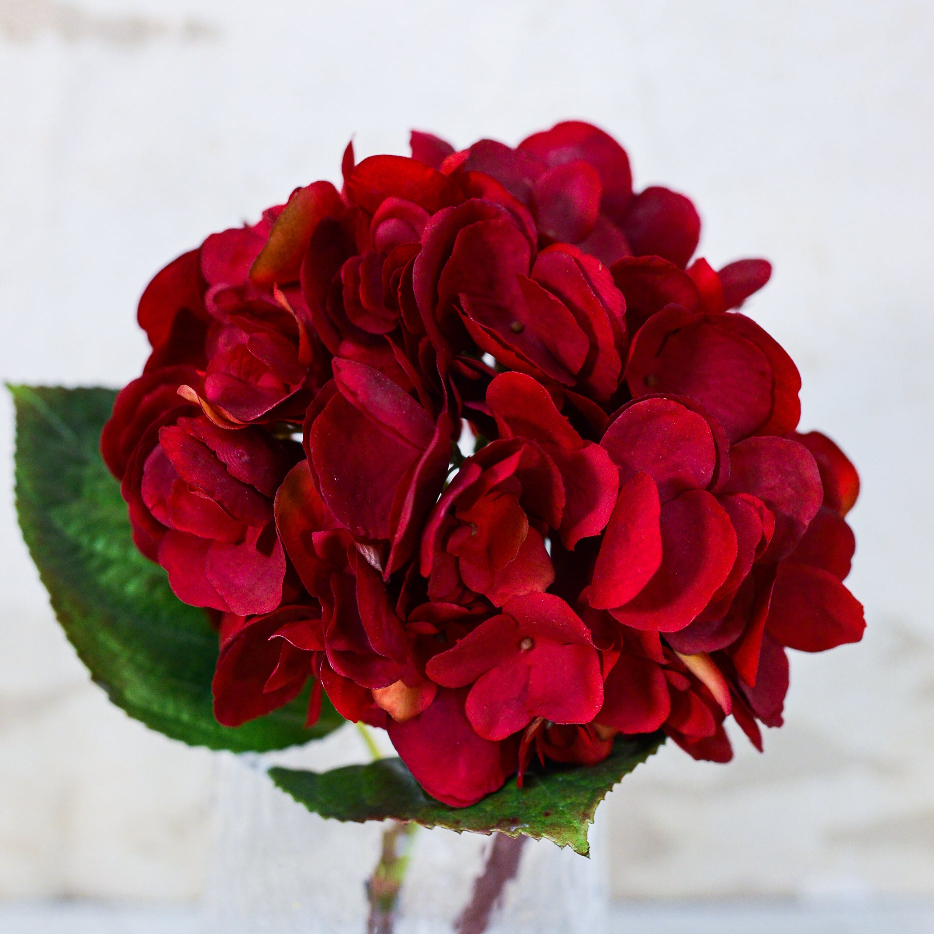 Red Hydrangea Single Stem