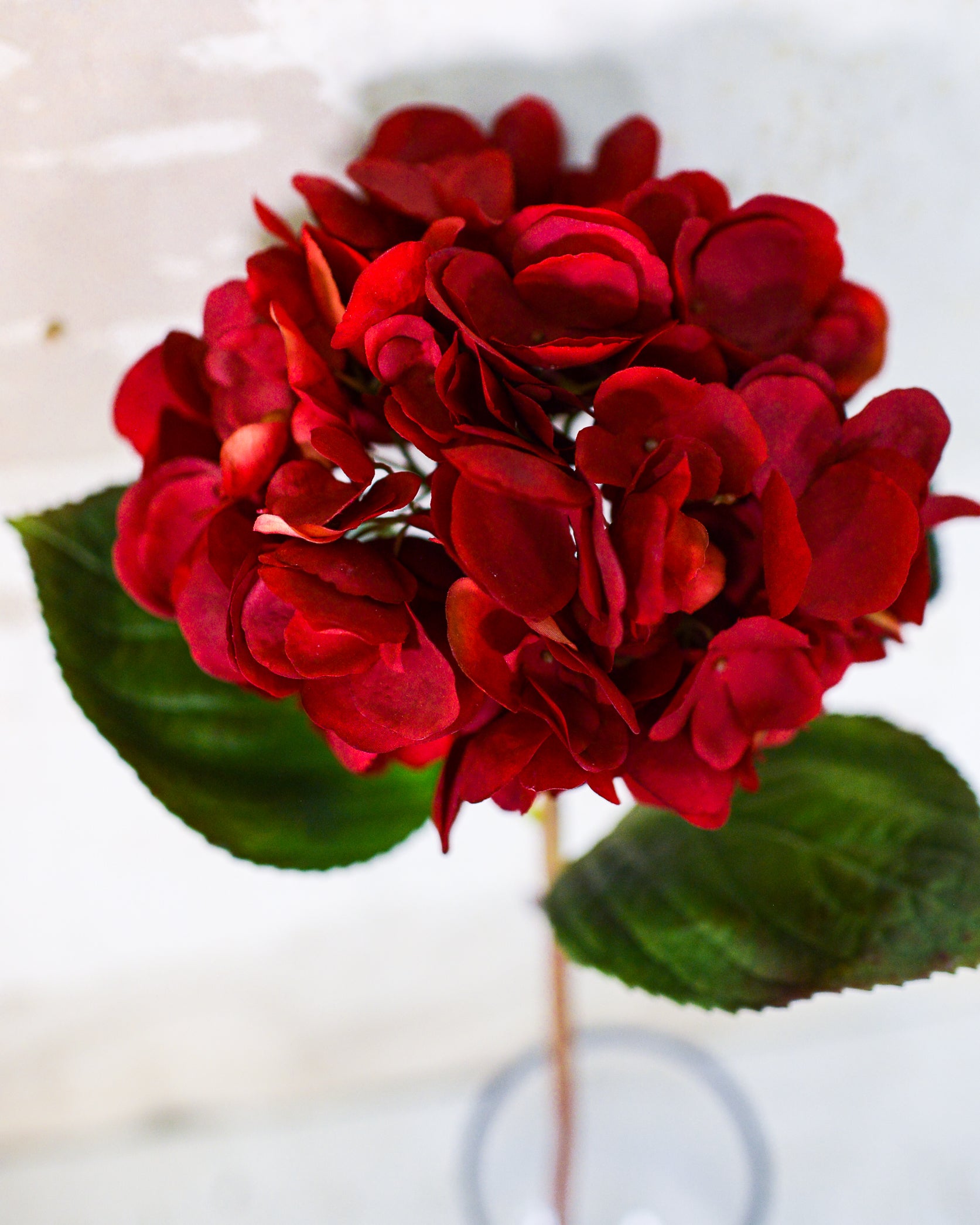 Red Hydrangea Single Stem