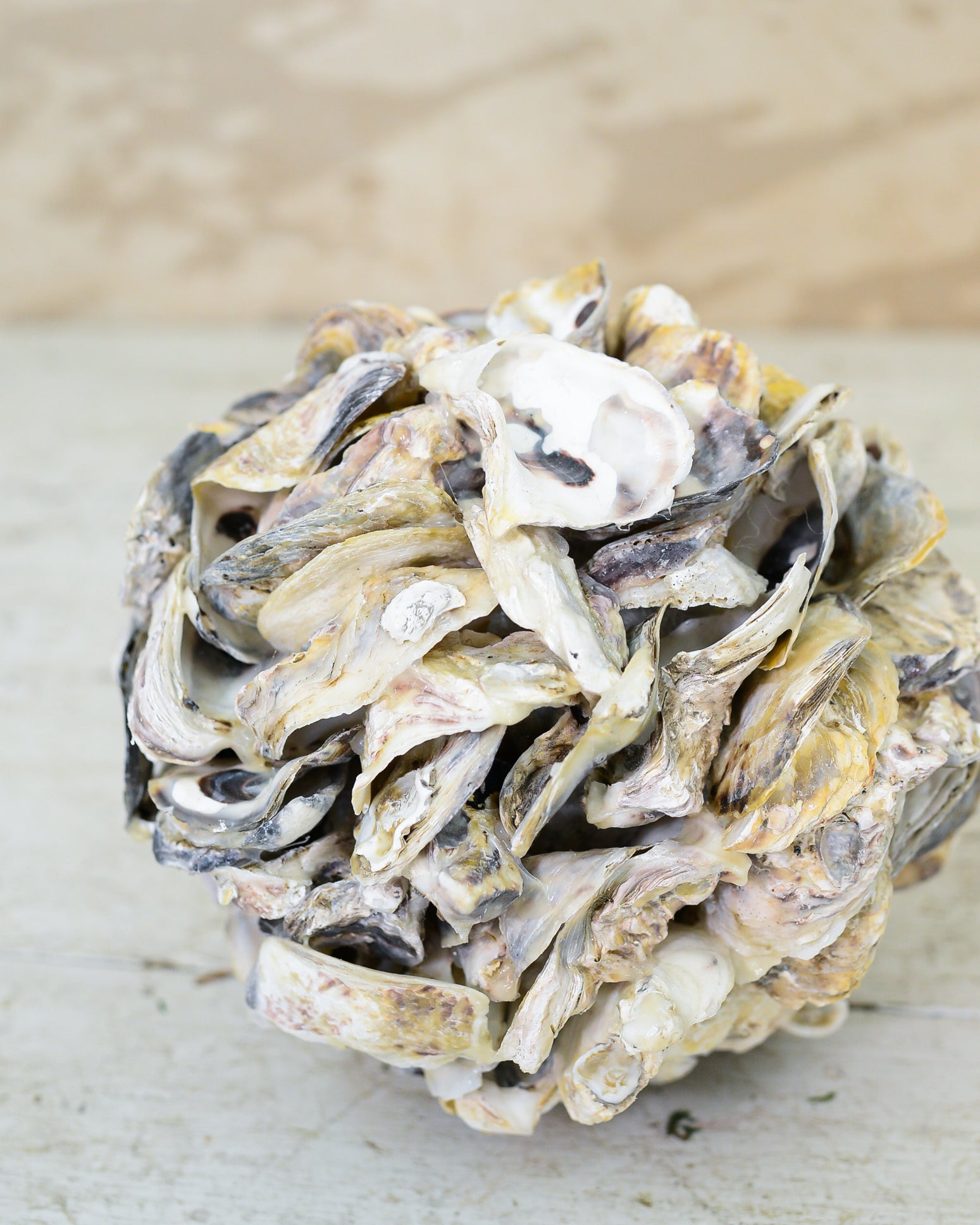 Oyster Shell Ball Large