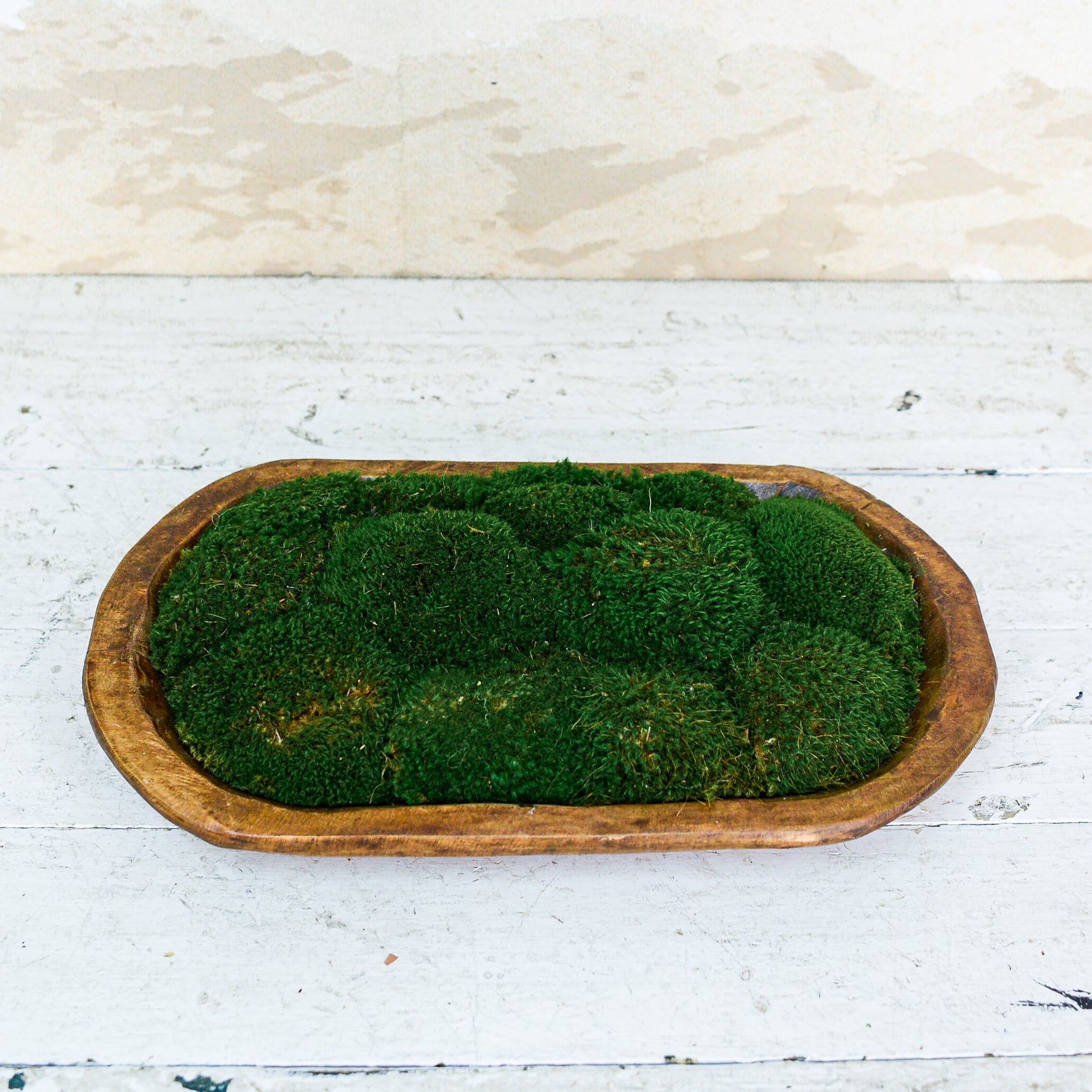 Carved Bowl with Green Mood Moss