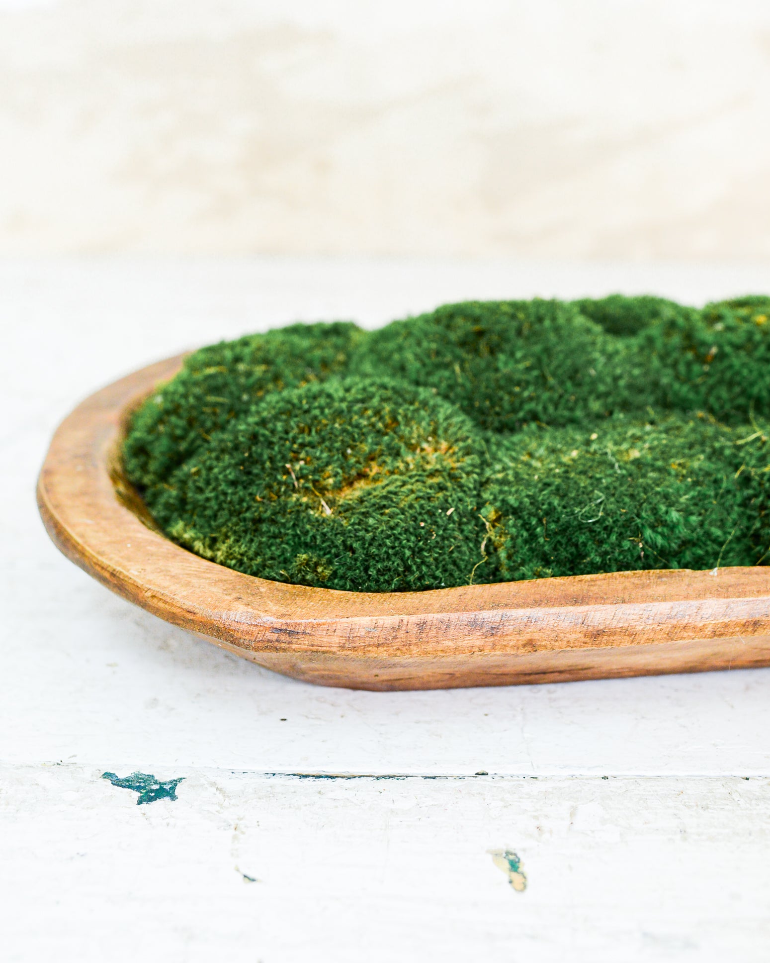 Carved Bowl with Green Mood Moss
