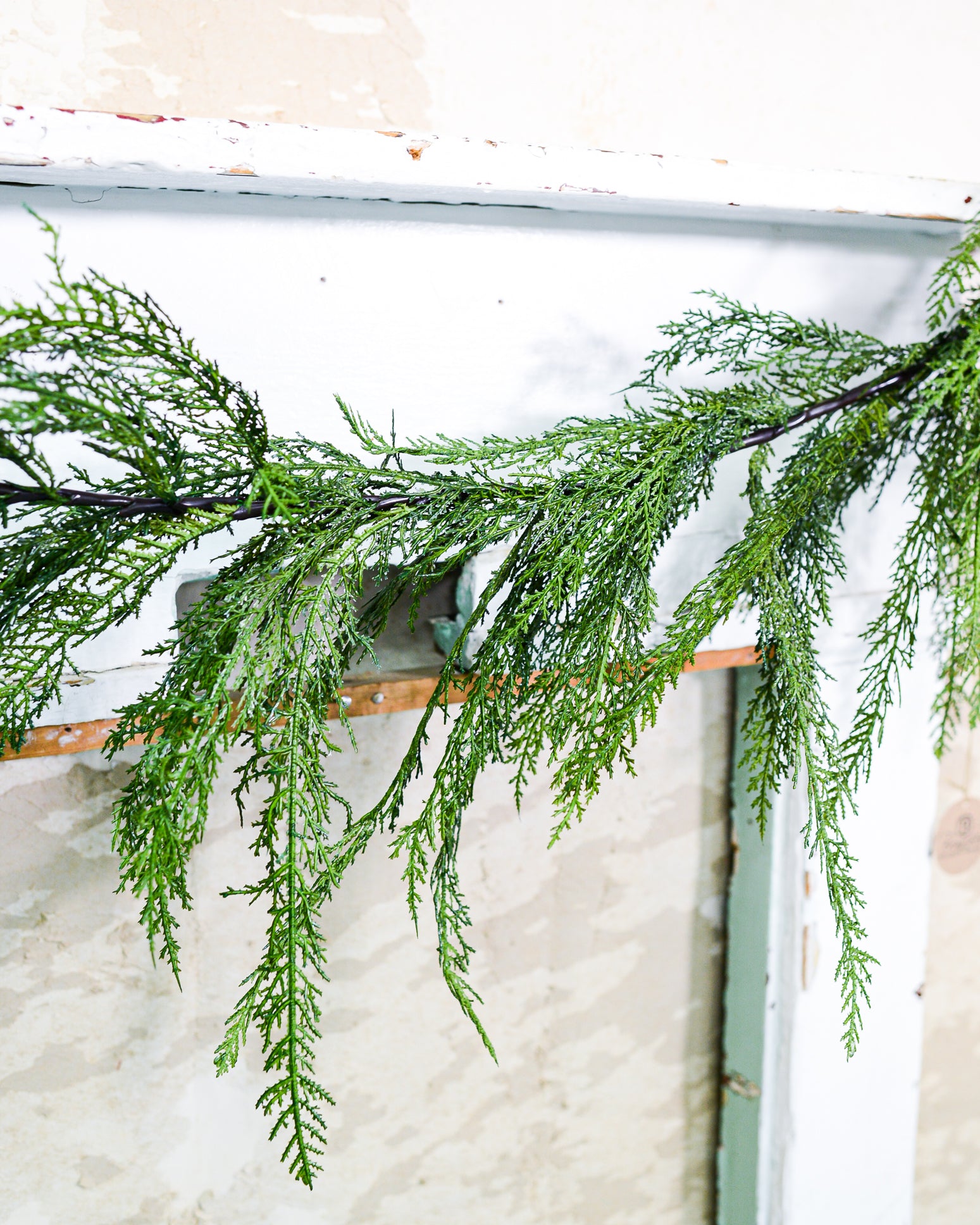 6 ft. Garland Cedar