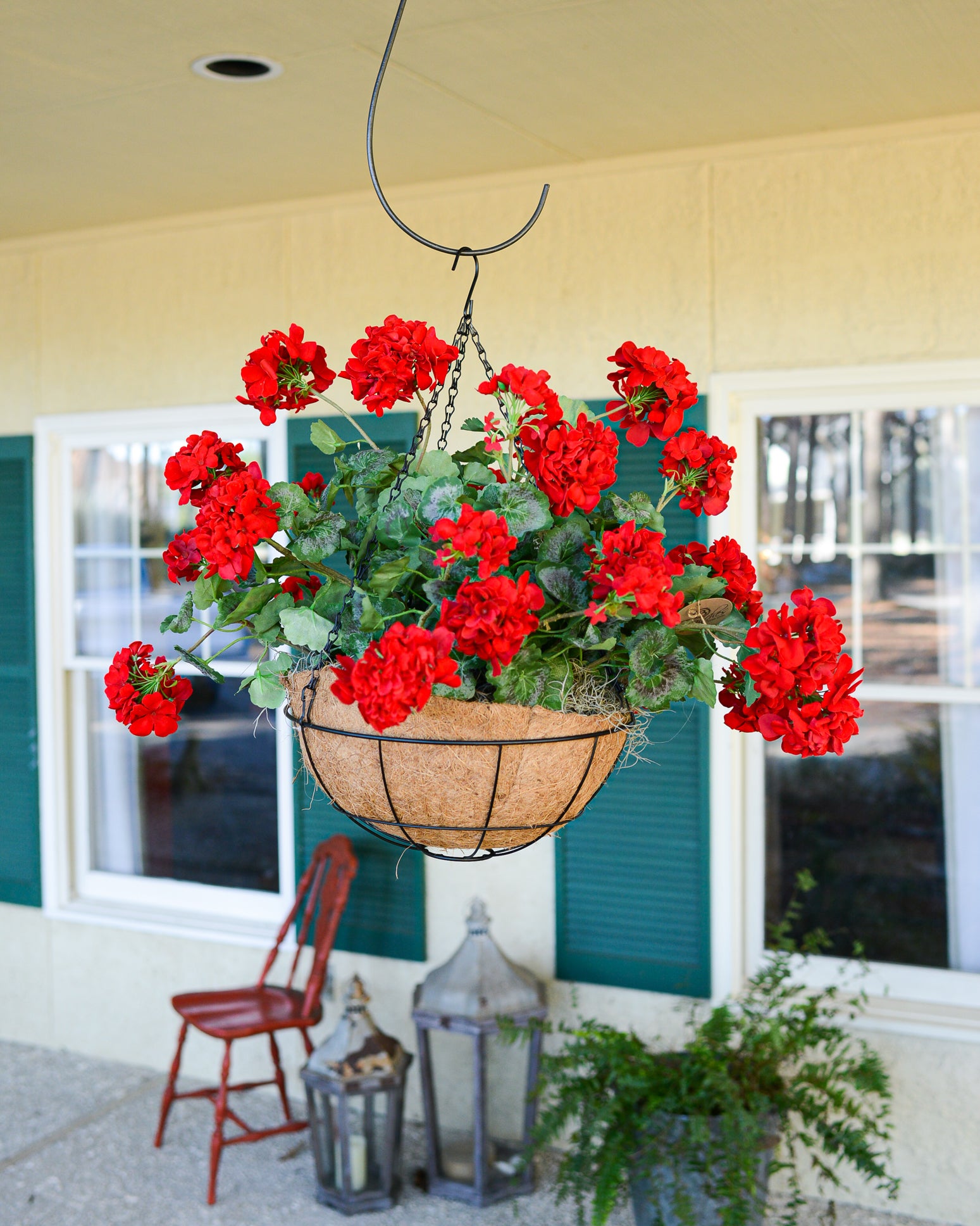 Cottage Geranium Hanging Basket Red