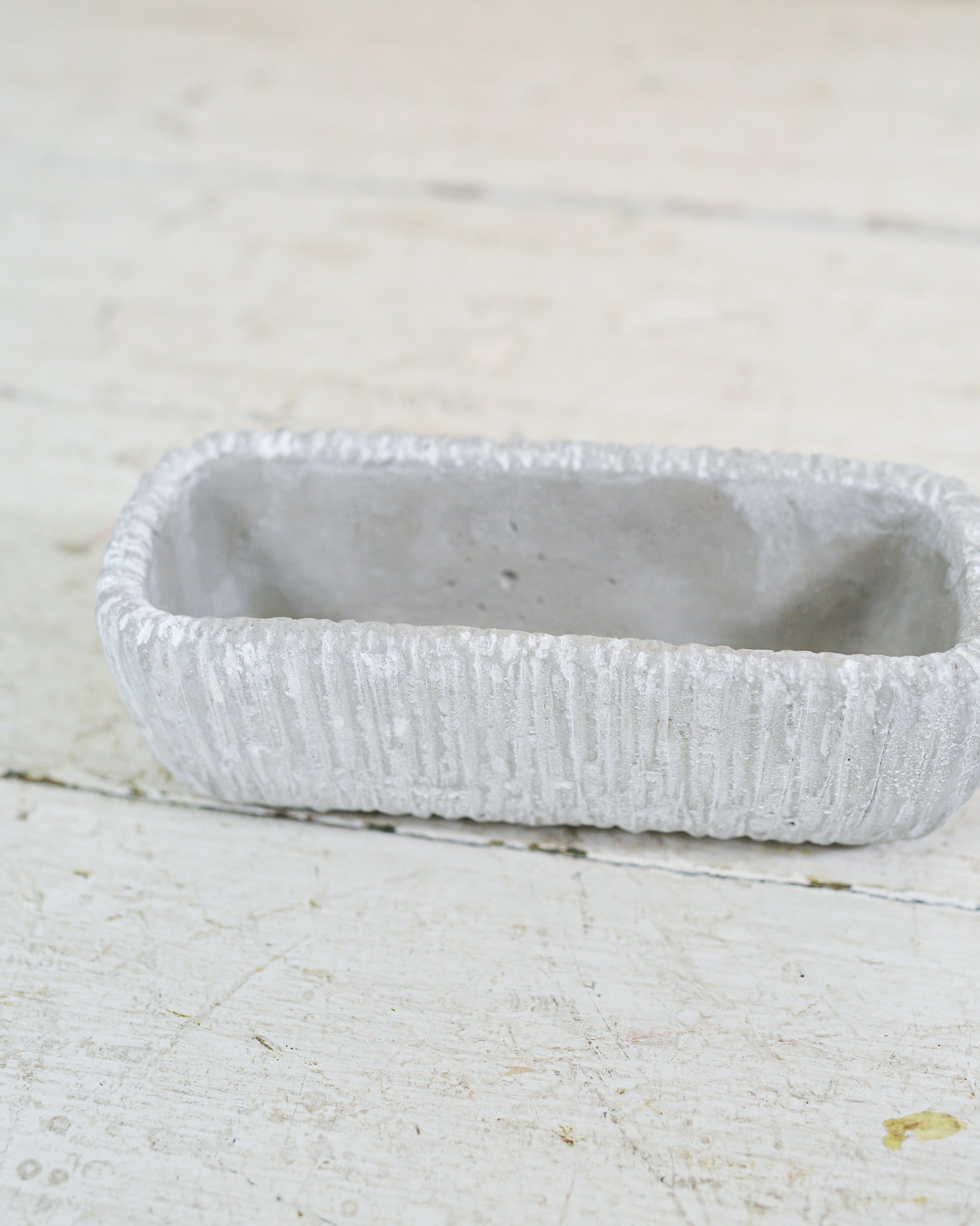 Rectangle Gray Cement Dish Garden