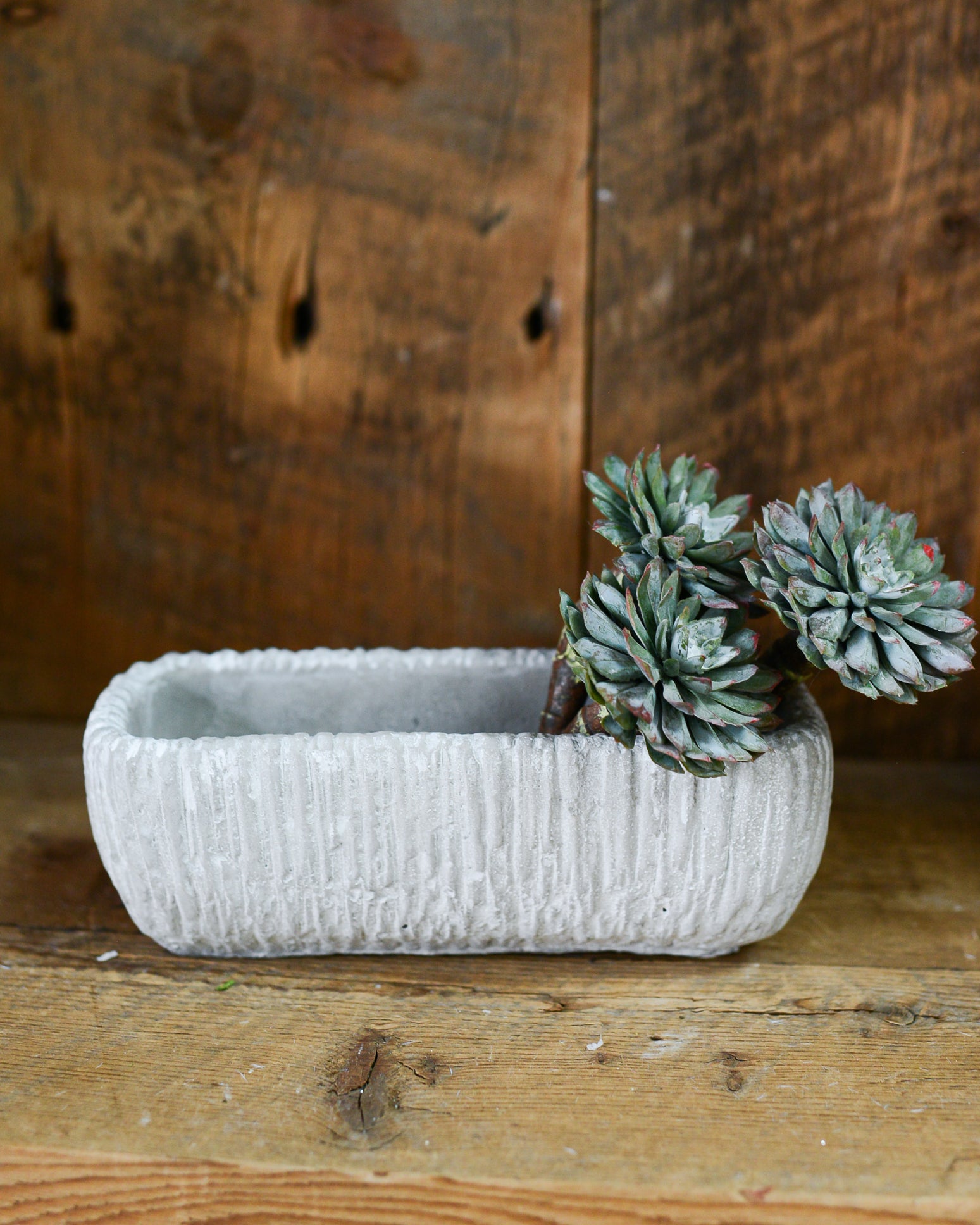 Rectangle Gray Cement Dish Garden