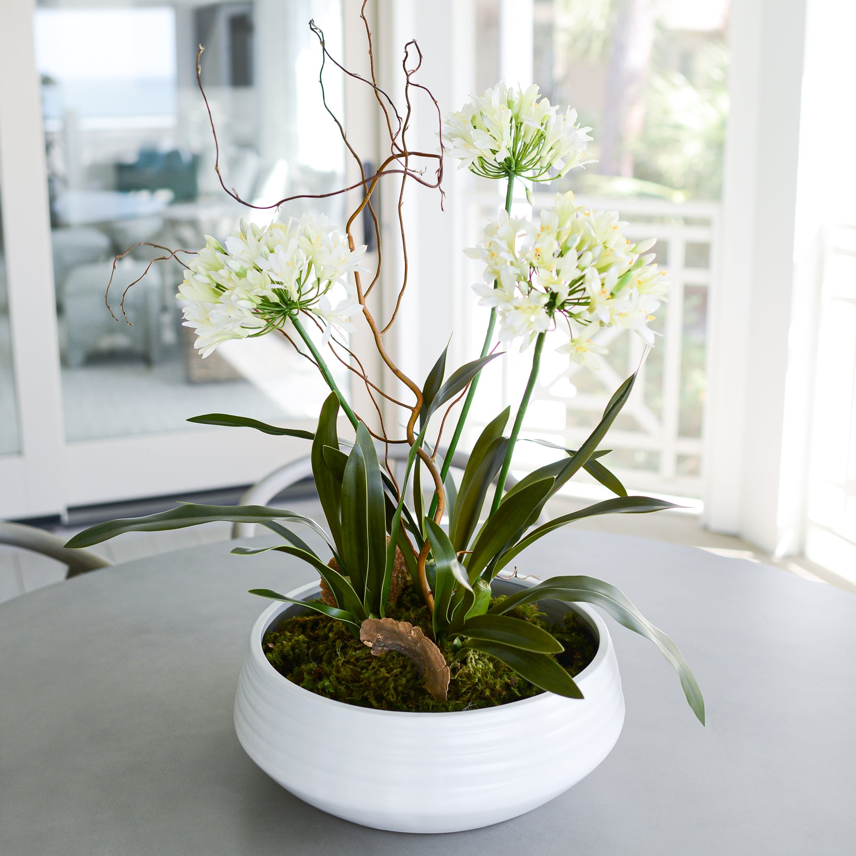 Triple White Agapanthus Drop In