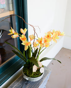 Double Gold Cymbidium Orchid Drop In