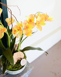Double Gold Cymbidium Orchid Drop In
